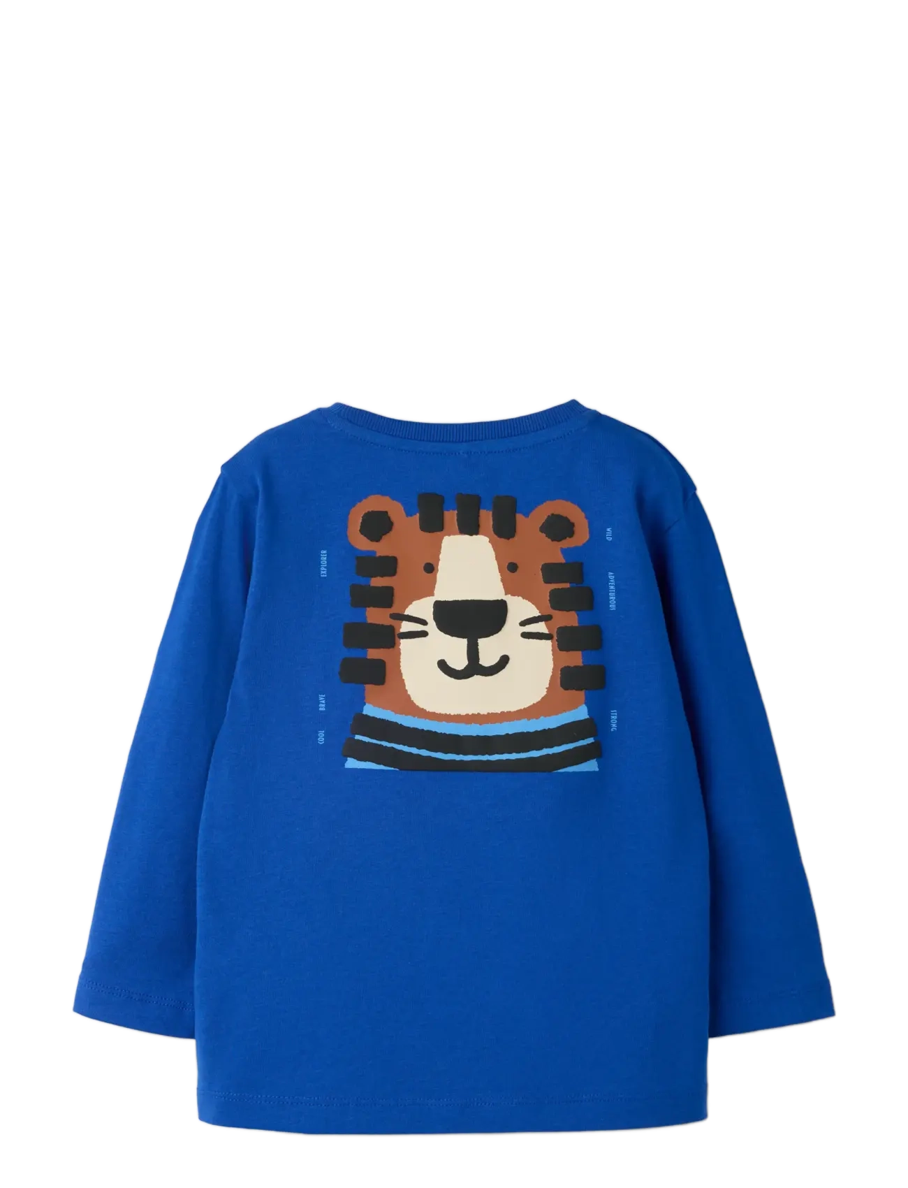 name it - NMMLUCCAN LS NREG TOP - surf the web - 1