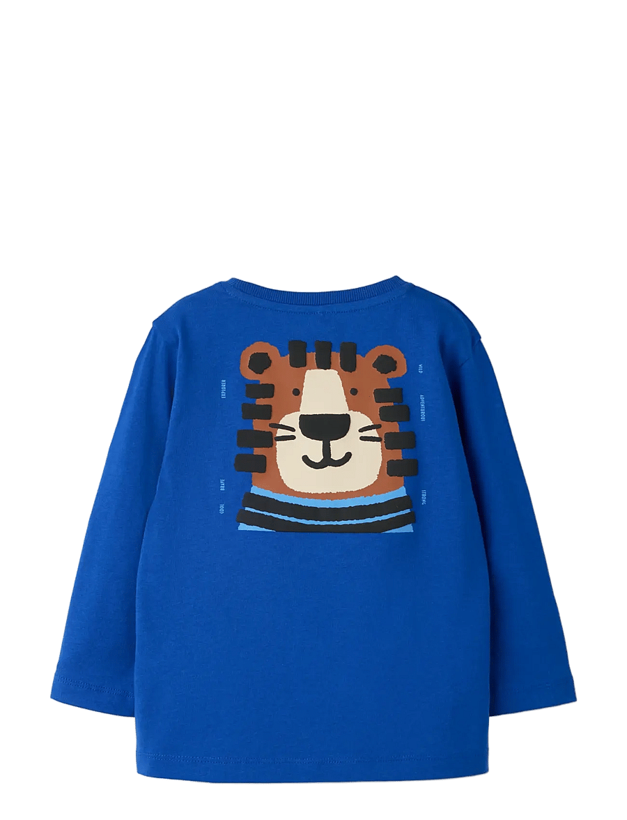 name it - NMMLUCCAN LS NREG TOP - surf the web - 1