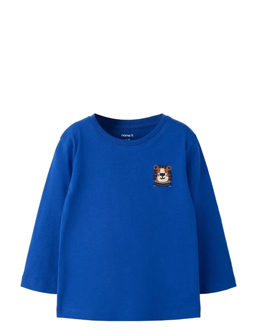 name it - NMMLUCCAN LS NREG TOP - surf the web - 2