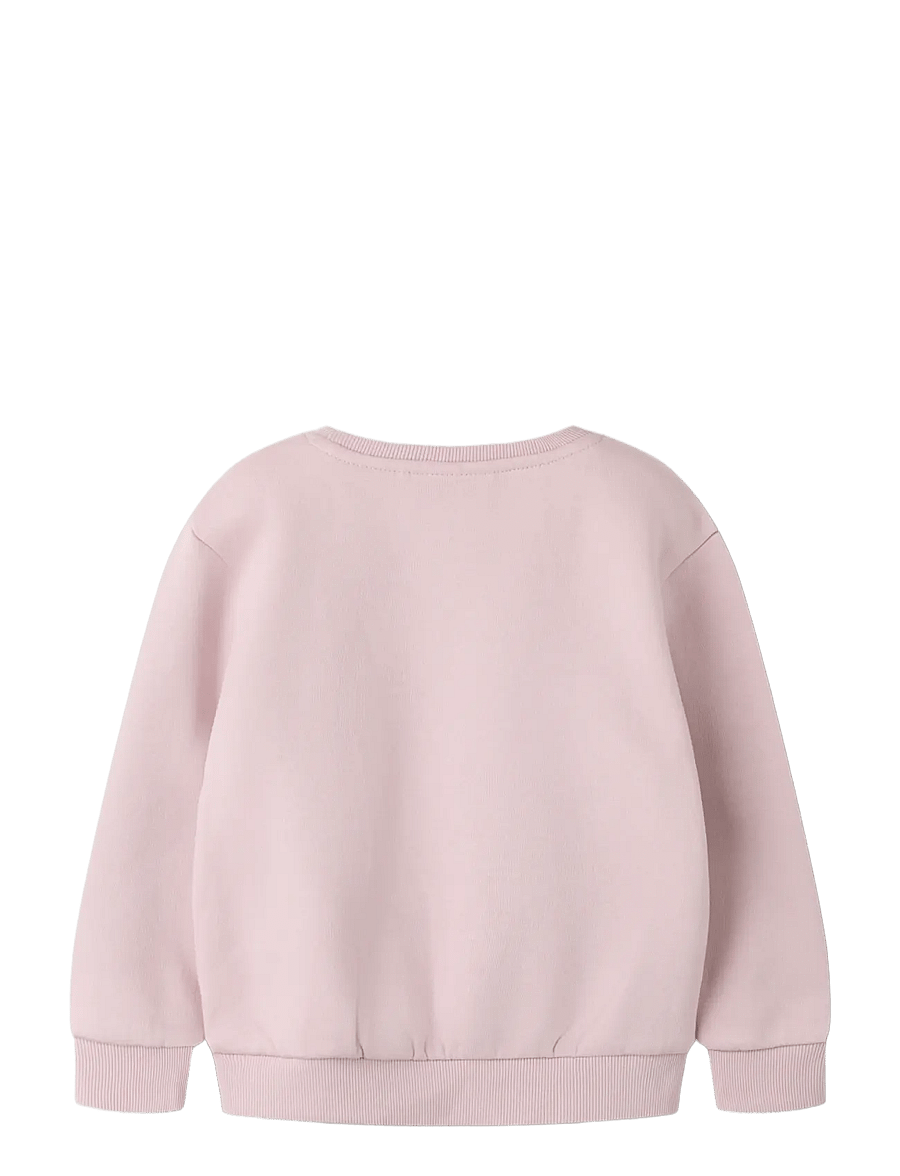 name it - NMFLINKA LS NREG SWE BRU - dressipluusid - violet ice - 1