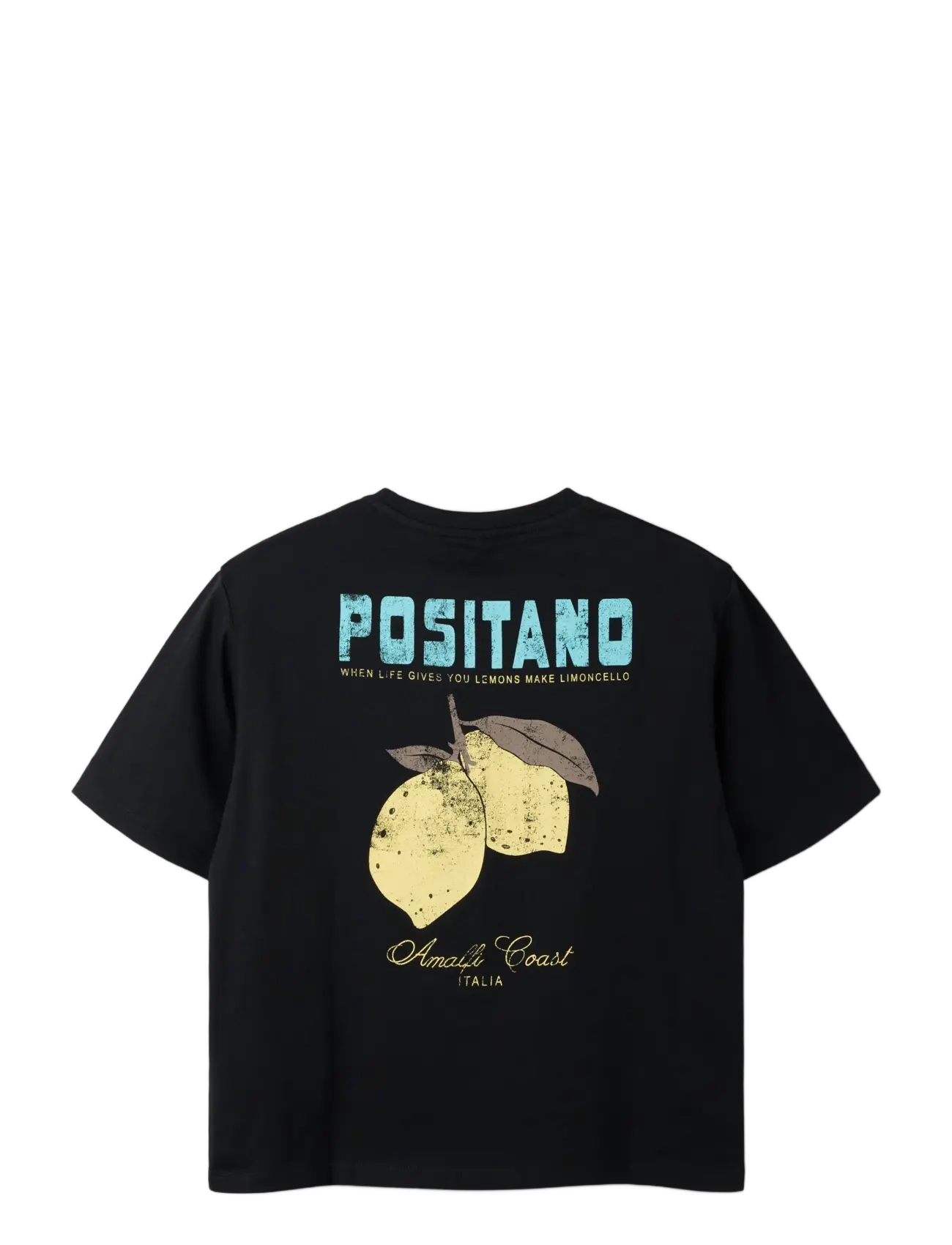 name it - NKFLION SS NREG TOP - kortärmade t-shirts - black beauty - 1