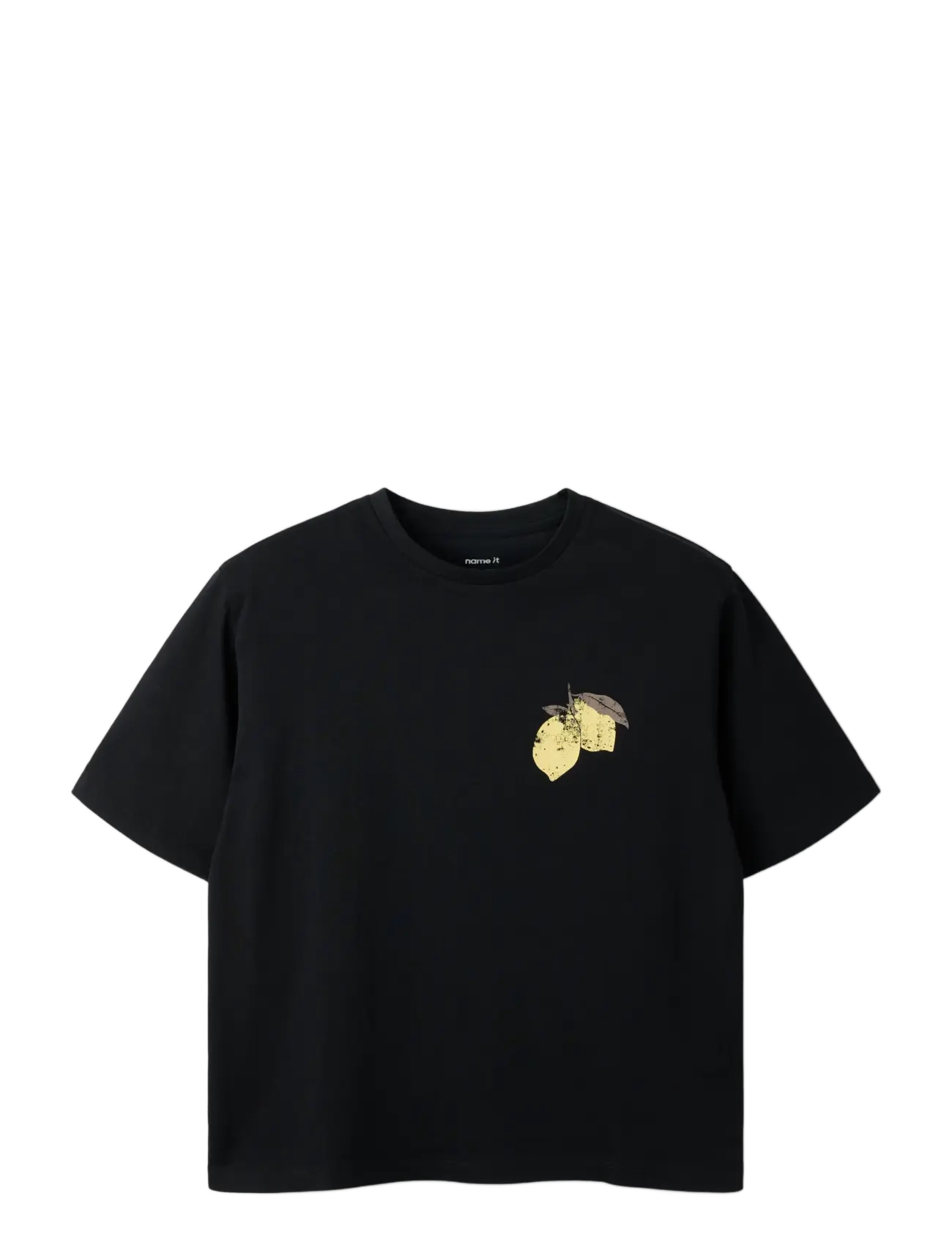 name it - NKFLION SS NREG TOP - kortärmade t-shirts - black beauty - 2