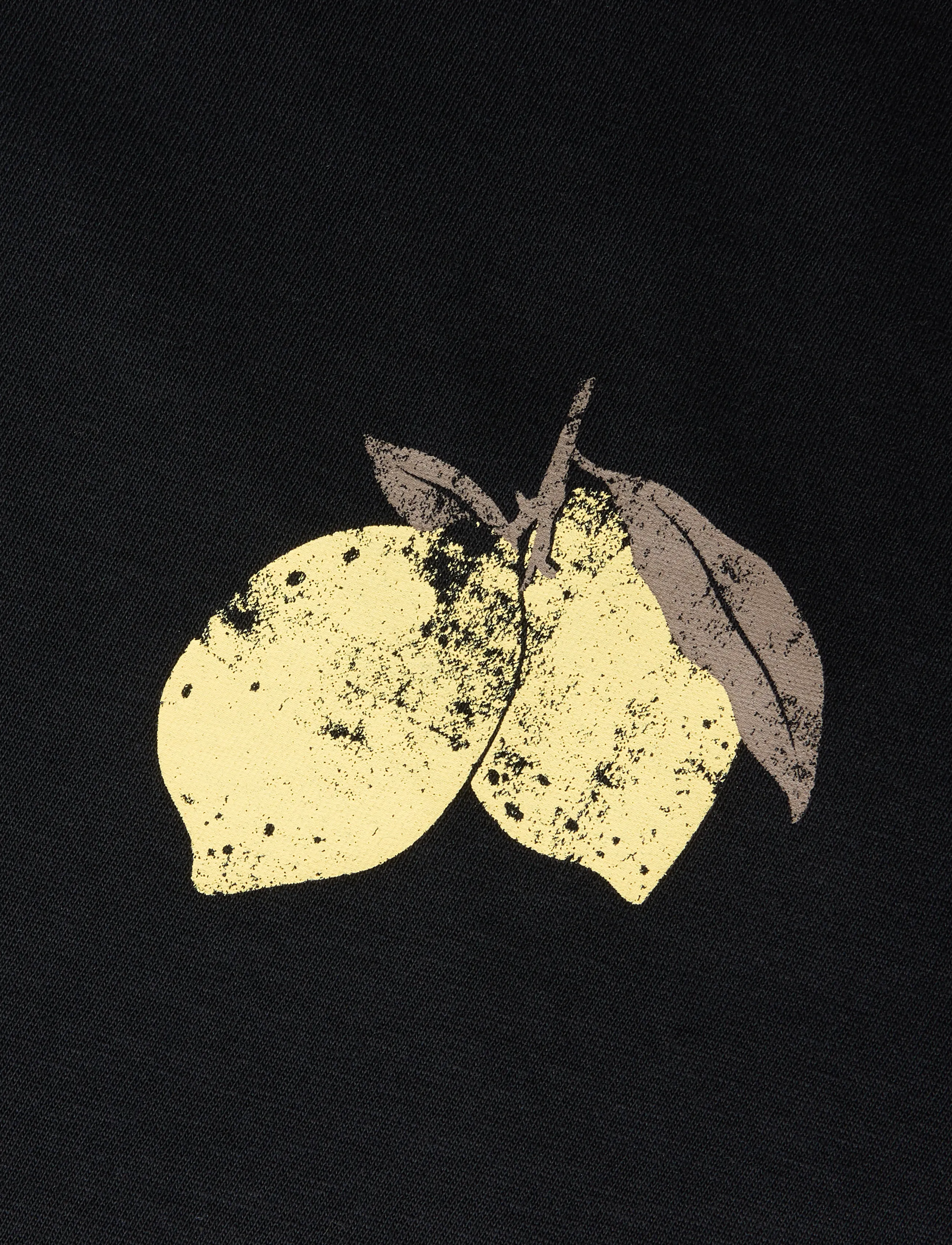 name it - NKFLION SS NREG TOP - kortärmade t-shirts - black beauty - 3