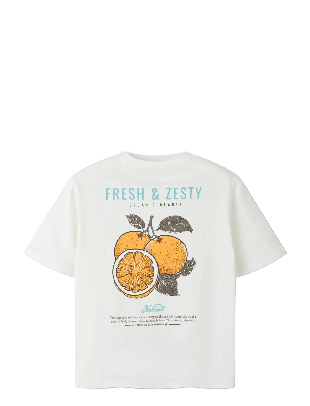 name it - NKFLION SS NREG TOP - kortärmade t-shirts - cloud dancer - 2