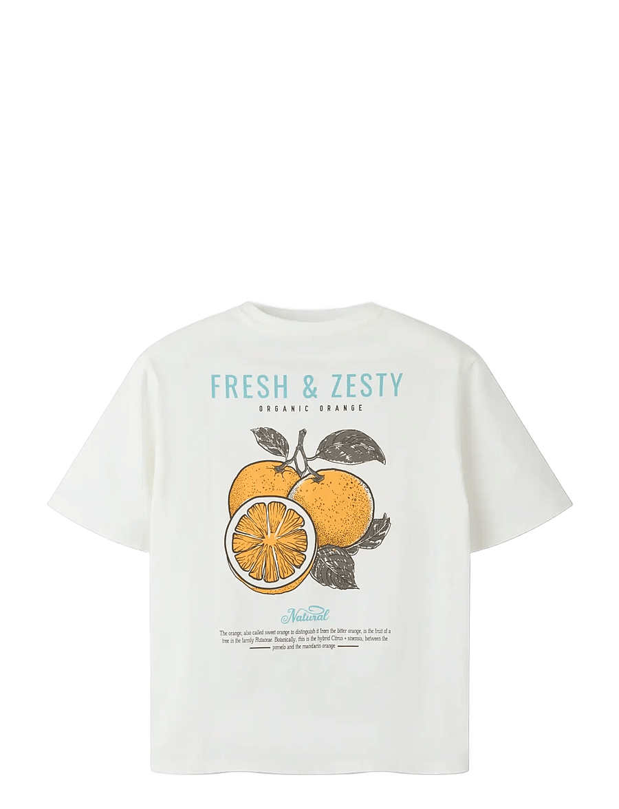 name it - NKFLION SS NREG TOP - kortärmade t-shirts - cloud dancer - 2