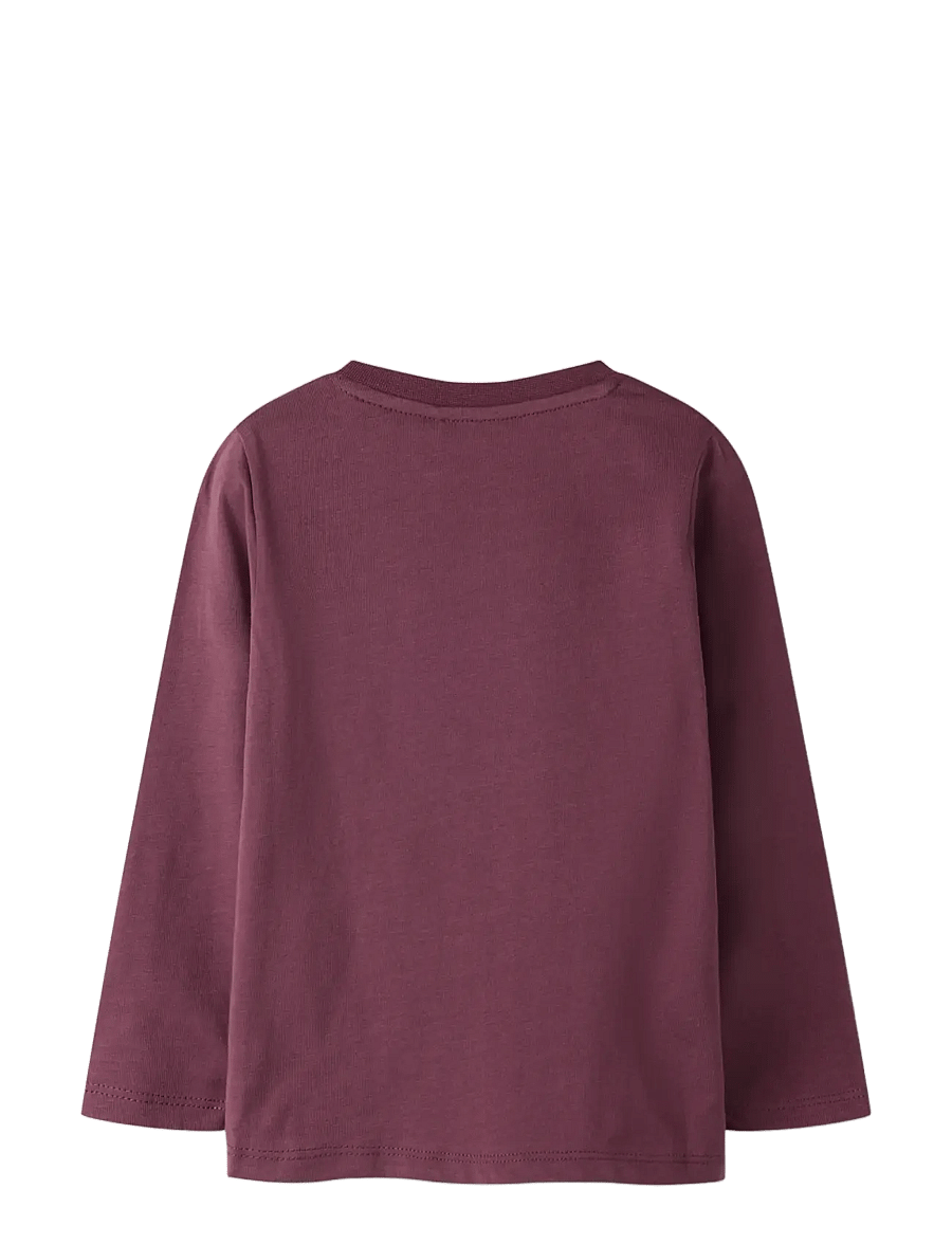 name it - NMFRILARIA LS TOP - langärmelig - catawba grape - 1