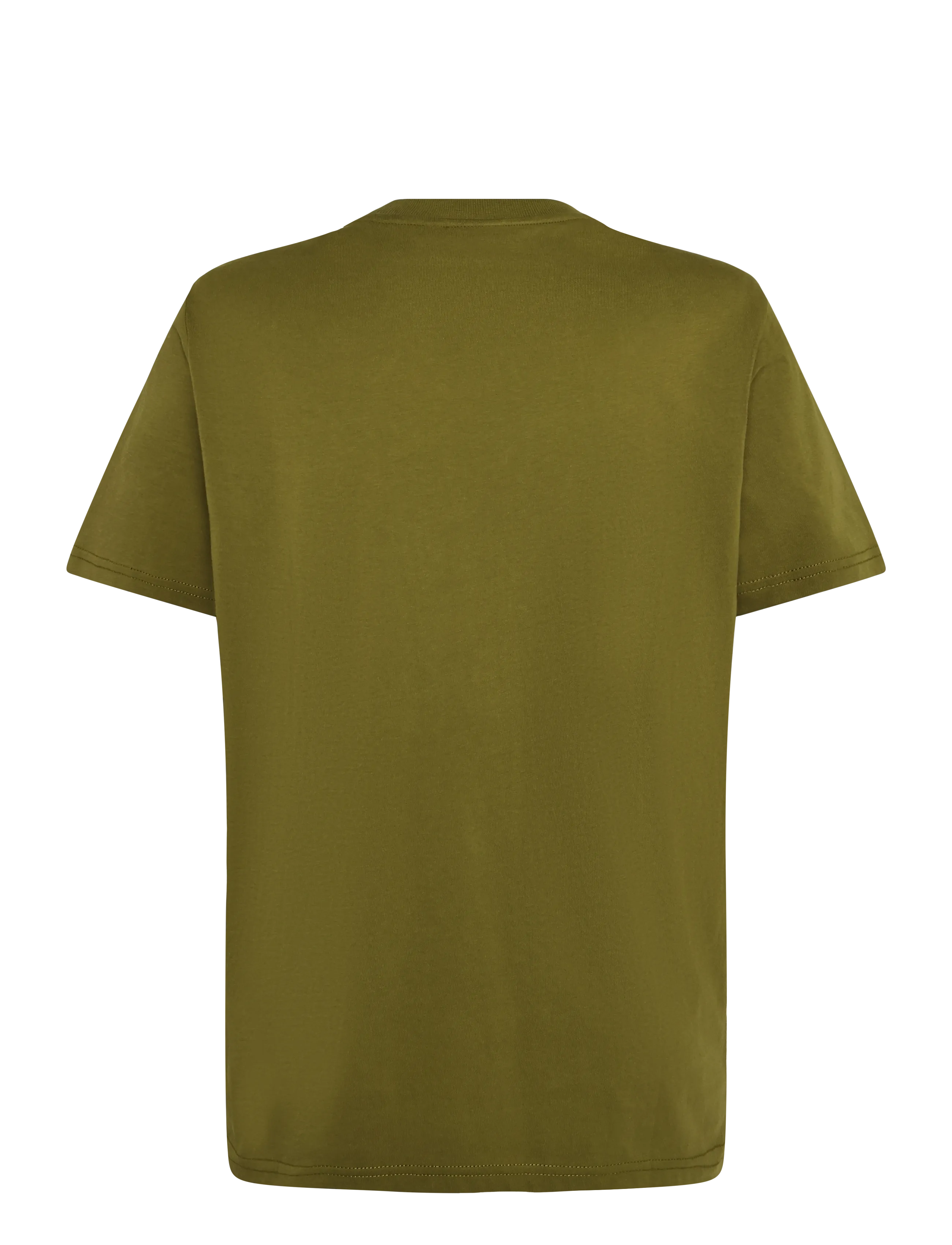 Napapijri - S-SMALL BOX SS - kortärmade t-shirts - avocado g4c - 1