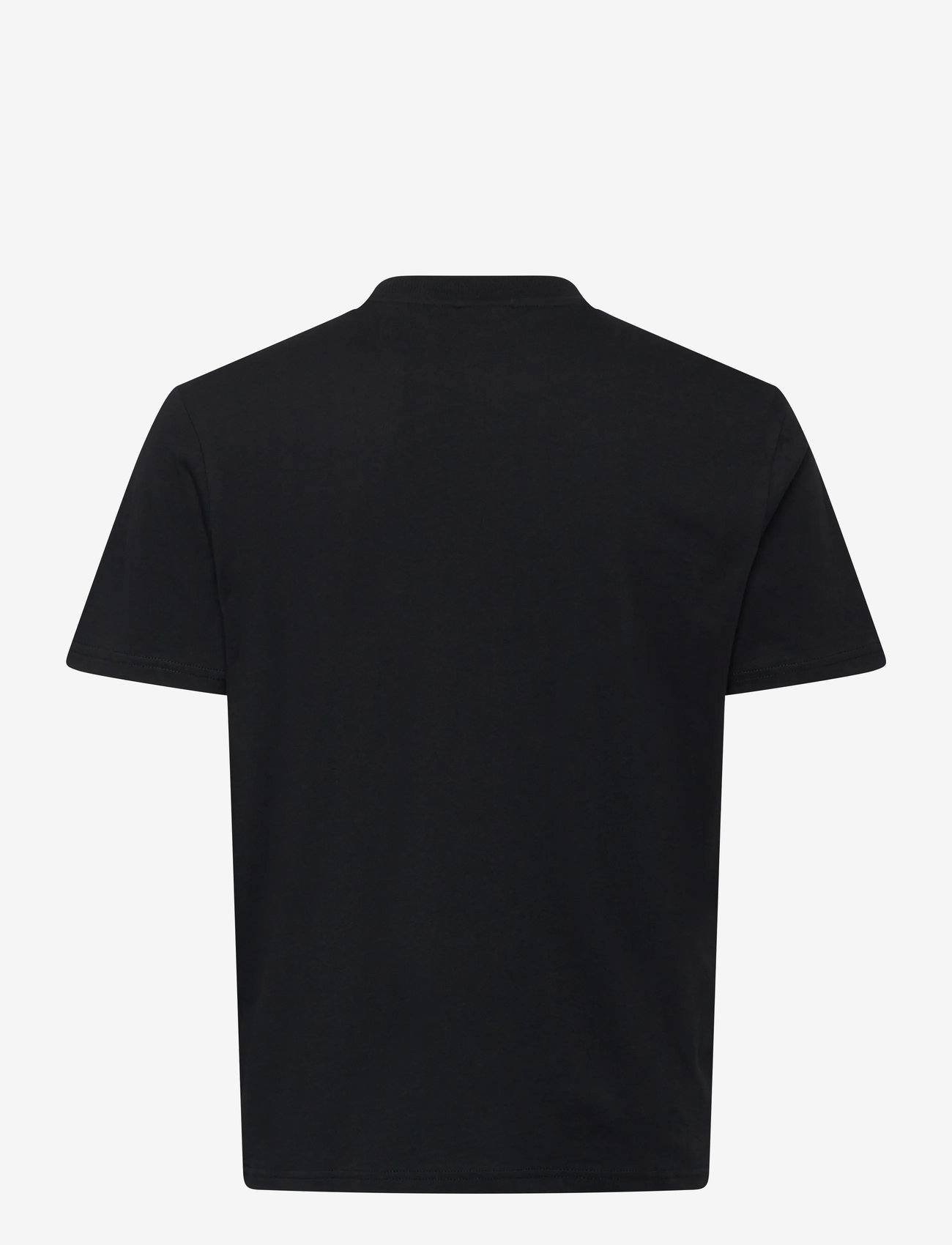 Napapijri - S-SMALL BOX SS AMERICAN B RAQ - lühikeste varrukatega t-särgid - black beauty - 2