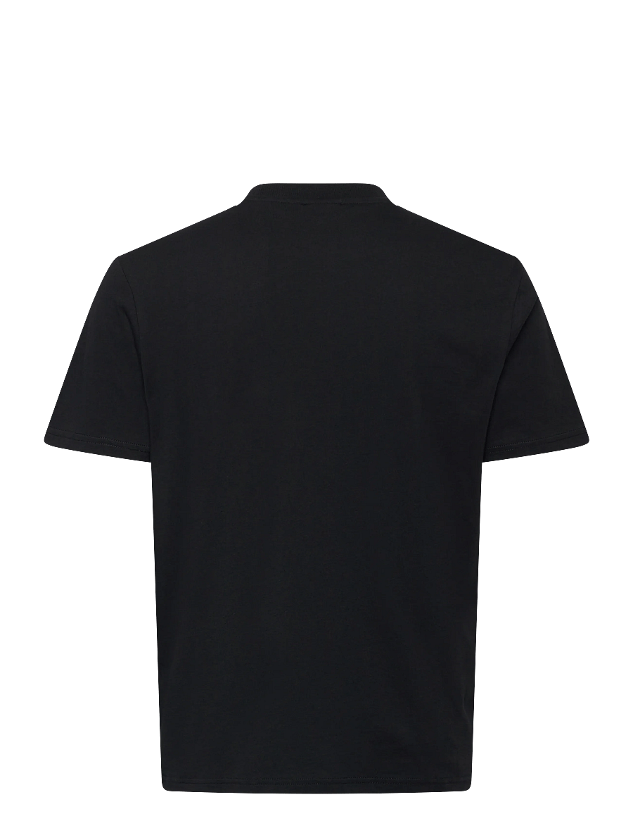 Napapijri - S-SMALL BOX SS - kurzärmelige t-shirts - black beauty - 2