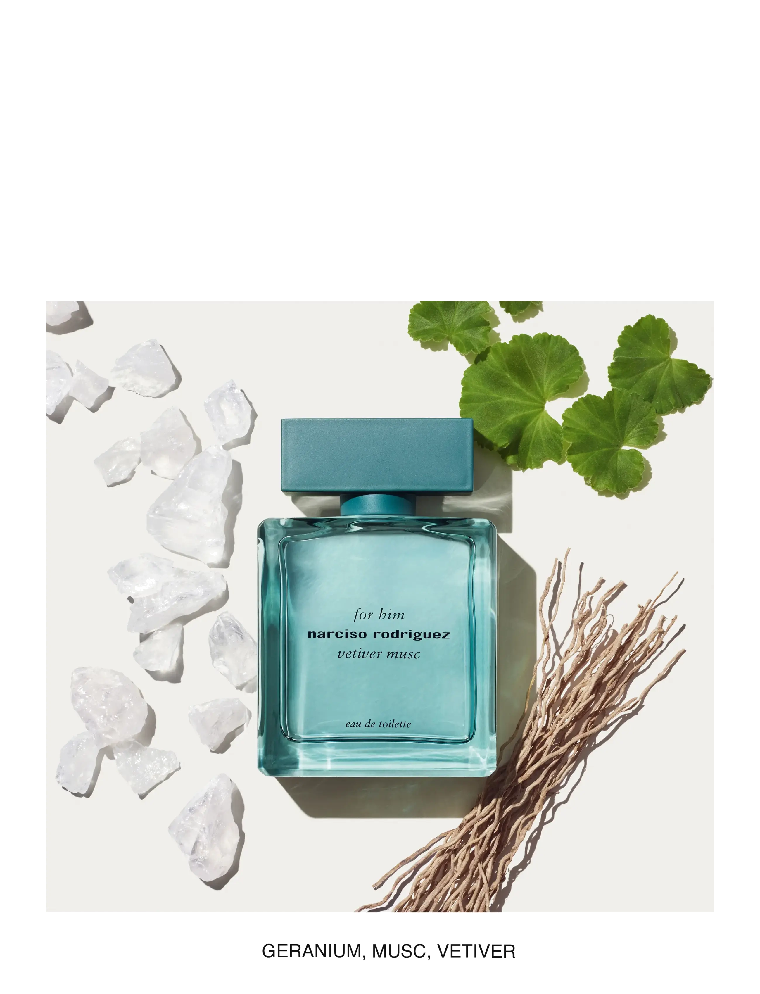 Vetiver Musc For Him Edt 2