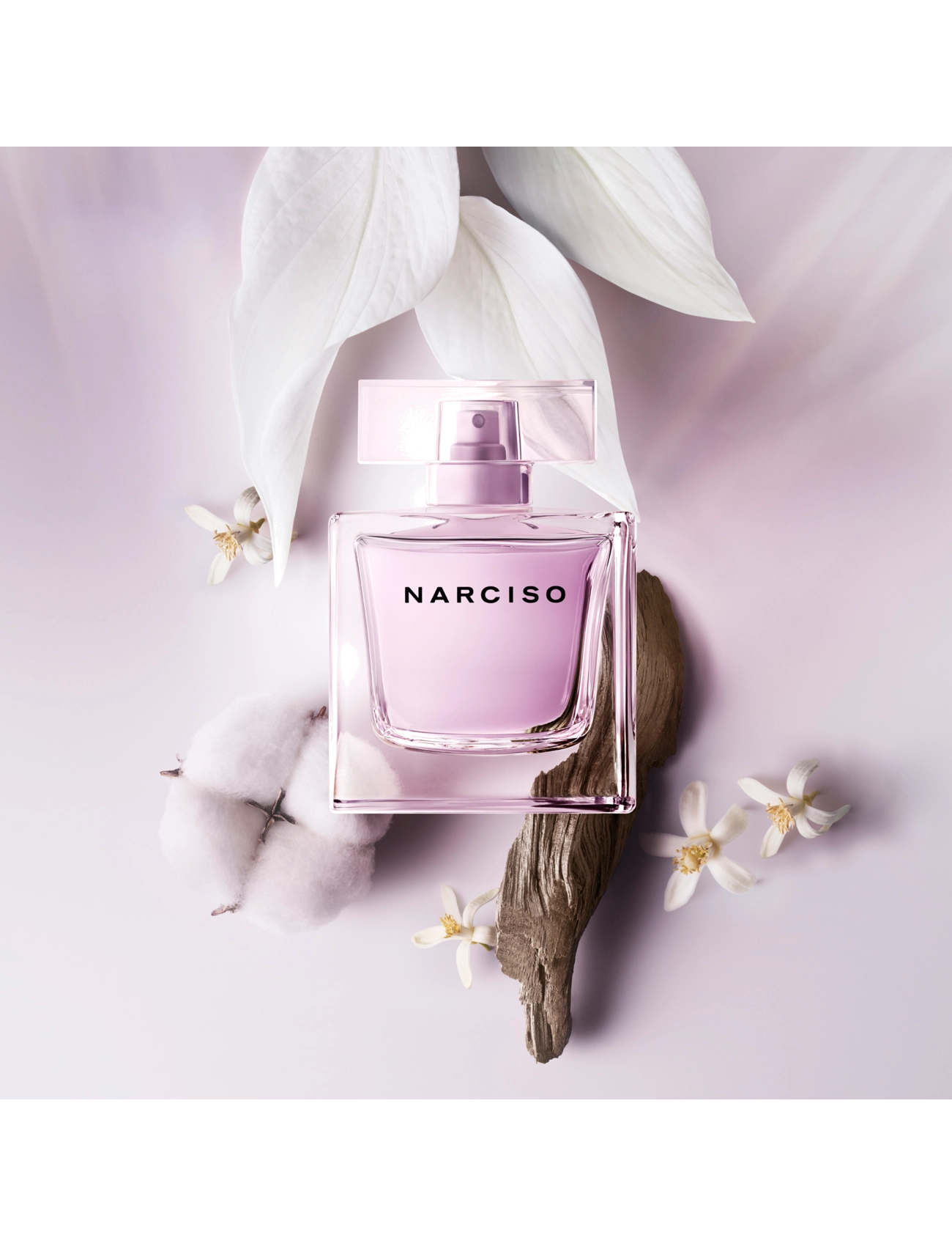Narciso Radiante Edp 3