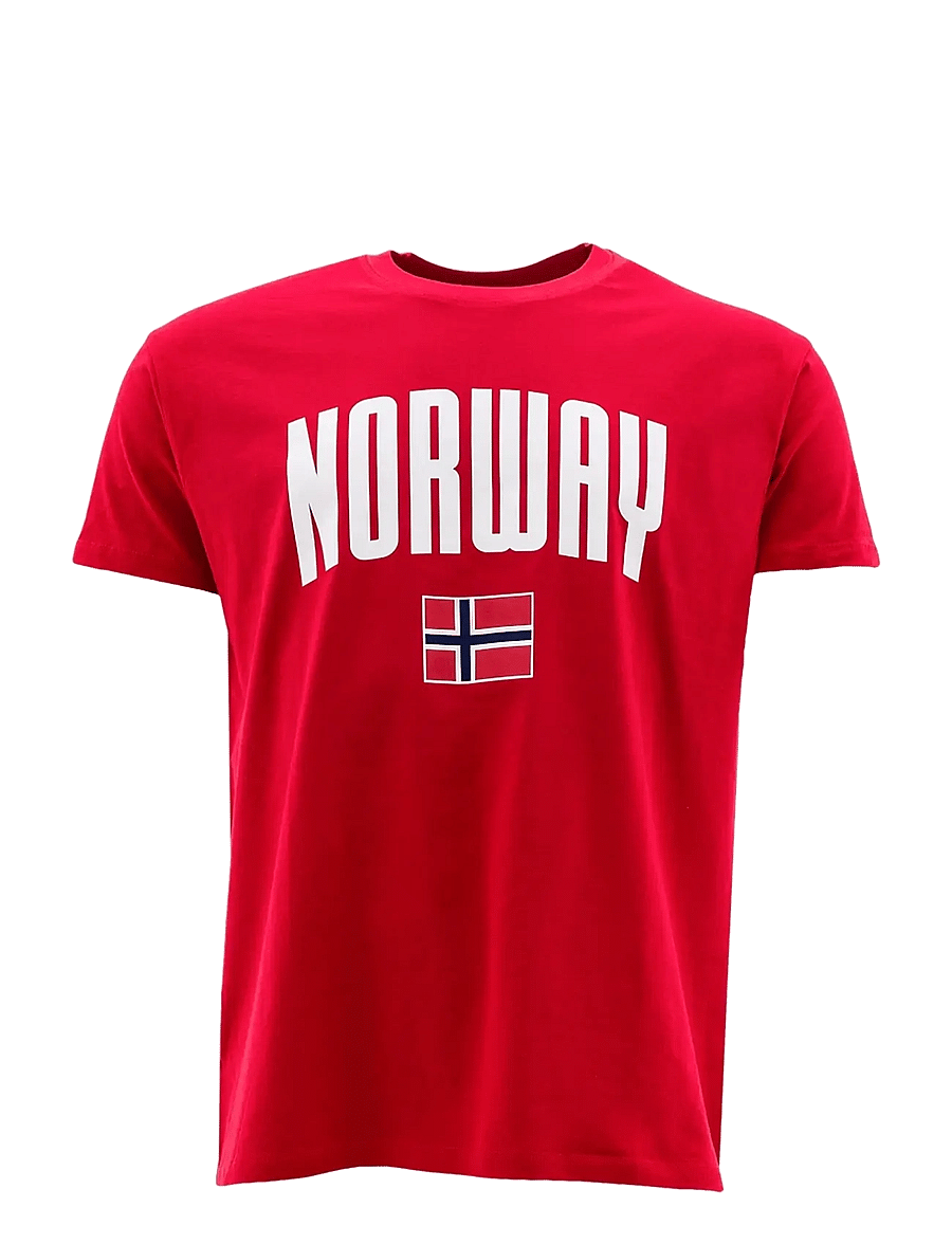 NeH - Kids Norway T-shirt - sportoberteile - red - 0