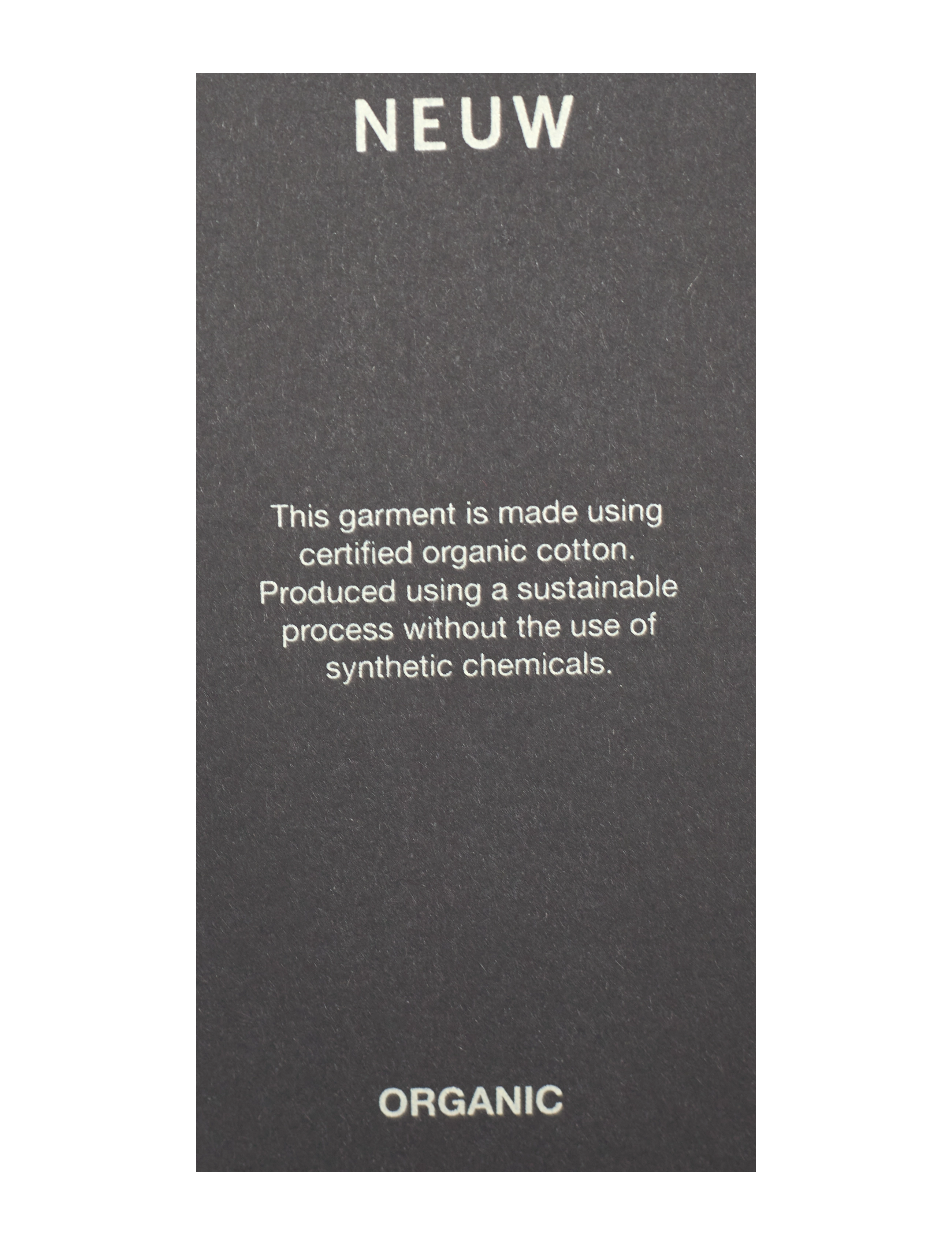 NEUW - ORGANIC NEUW BAND TEEE TAN - white - 5