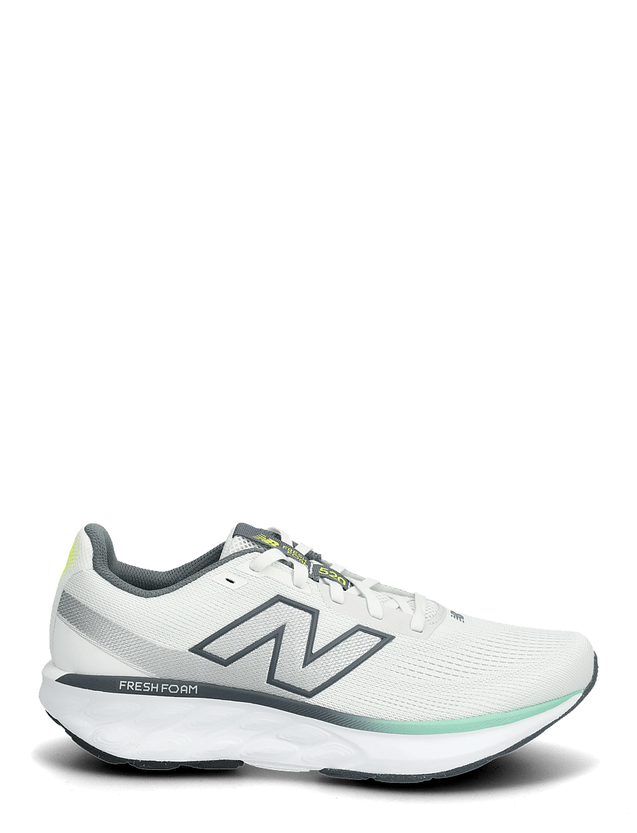 New Balance - New Balance FreshFoam 520 v9 - laufschuhe - reflection - 1
