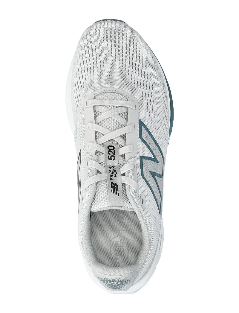 New Balance - New Balance FreshFoam 520 v9 - löparskor - grey matter - 3