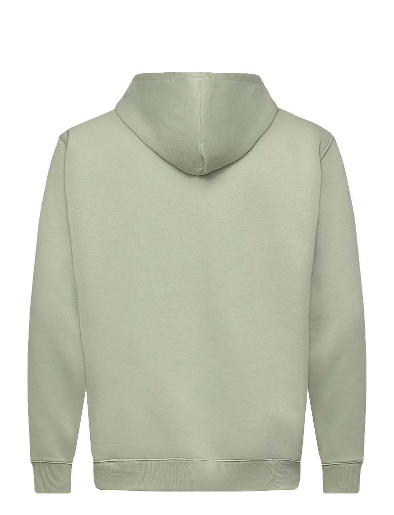 New Balance - Sport Essentials Fleece Hoodie - oberteile - garter snake - 1