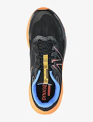 New Balance - New Balance Dynasoft Nitrel v5 - running shoes - black - 3
