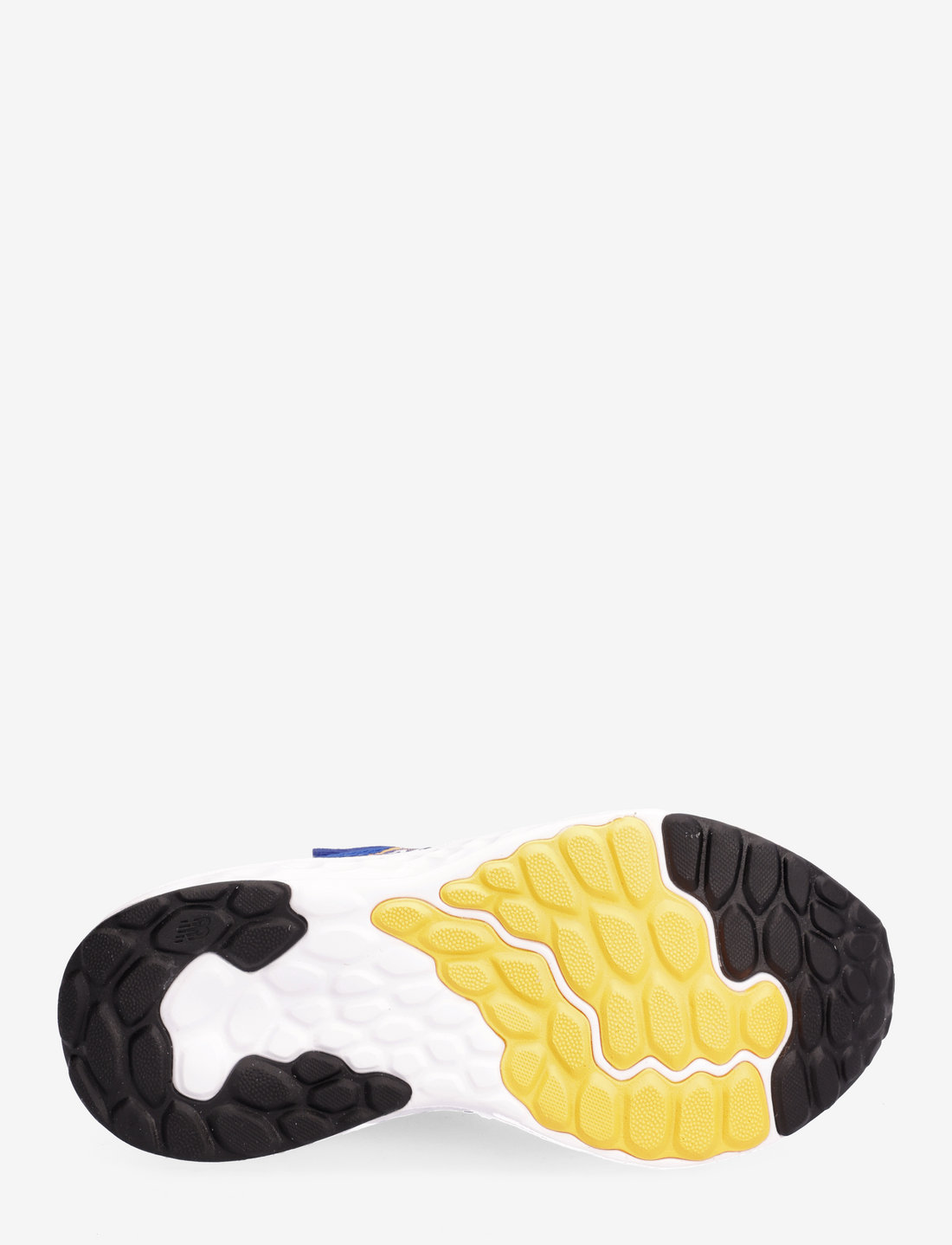 Bungee lace fresh top foam arishi v2