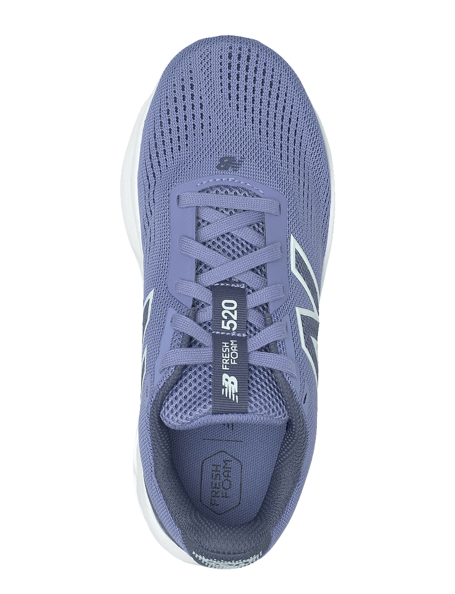 New Balance - New Balance FreshFoam 520 v9 - løbesko - fairweather blue - 3