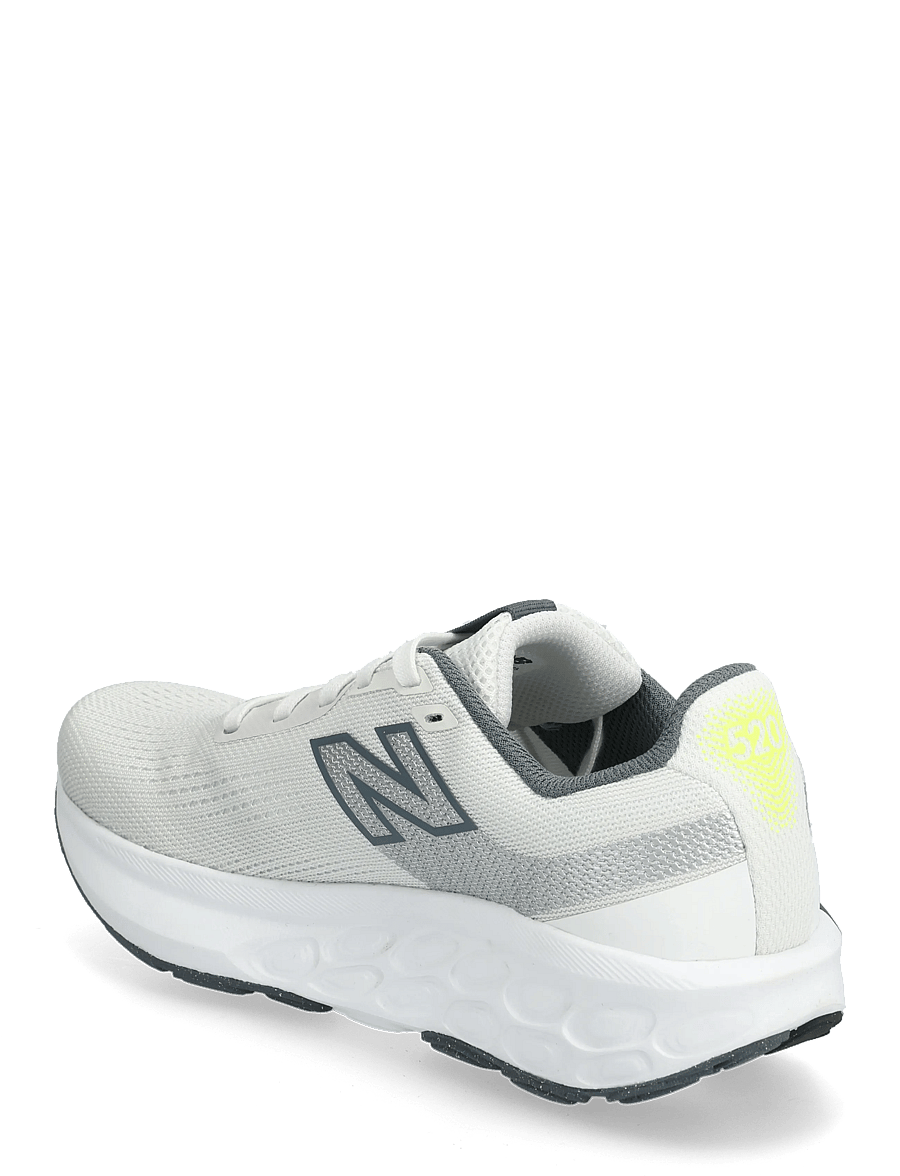New Balance - New Balance FreshFoam 520 v9 - løbesko - reflection - 2