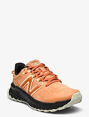 New Balance - New Balance FreshFoam Garoé - löparskor - daydream - 0