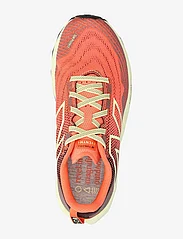 New Balance - New Balance FuelCell Summit Unknown v5 - running shoes - gulf red - 3