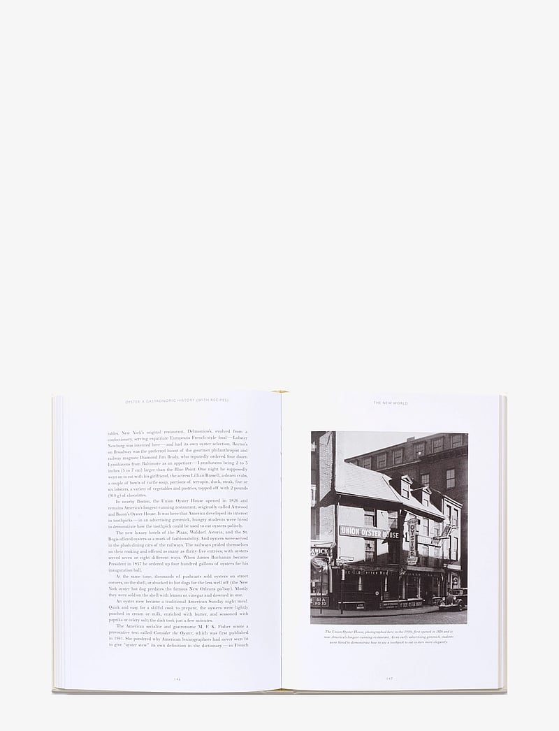 New Mags - Oyster: A Gastronomic History - nach preis einkaufen - beige - 3