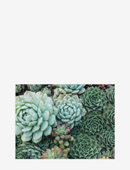 New Mags - Succulent Garden 2-Sided 500 Piece Puzzle - madalaimad hinnad - green - 2