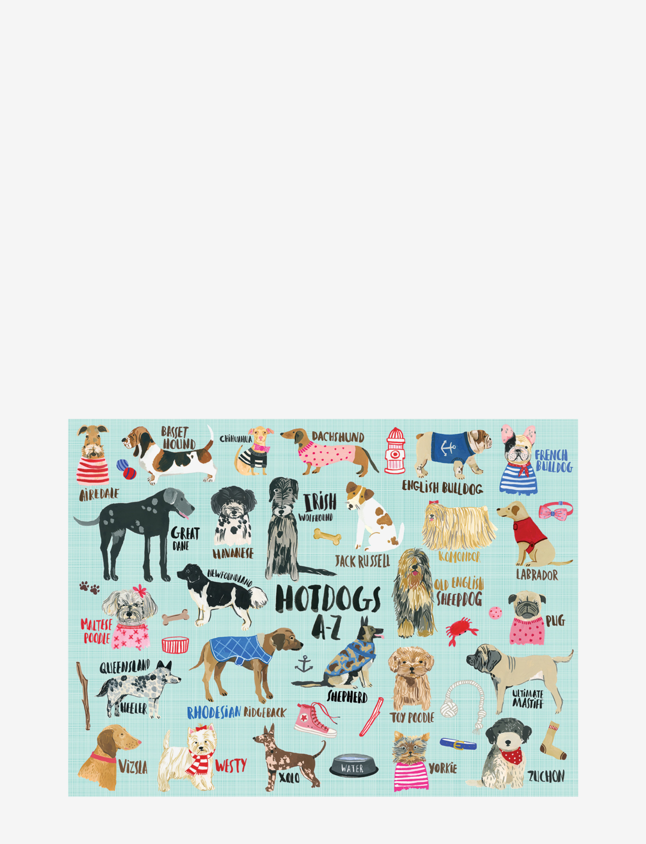 New Mags - Hot Dogs A-Z 1000 Pieces Puzzle - multicolor - 1