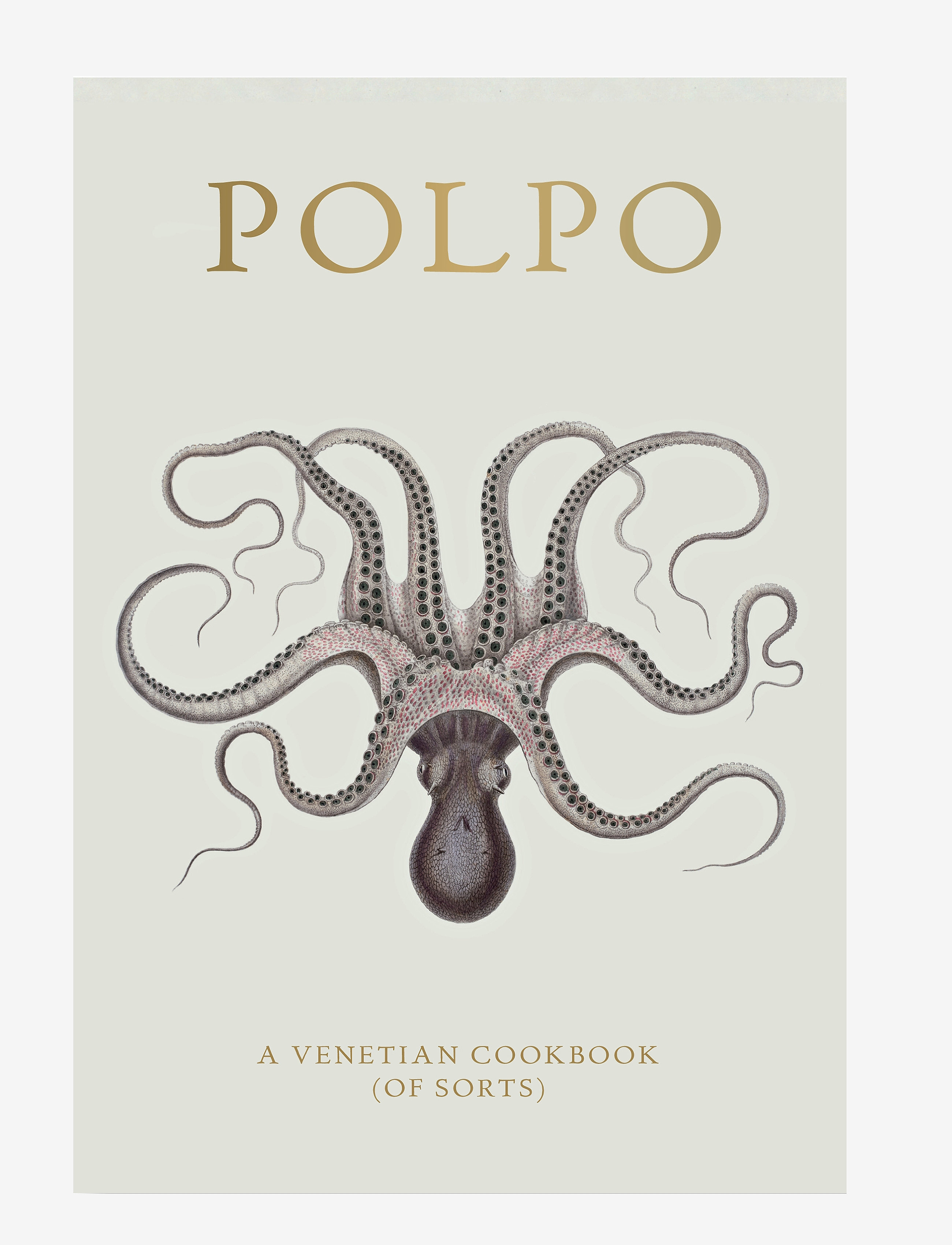 New Mags Polpo - Confirmation gifts - LINEN / cream