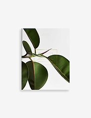 Green Home Book - WHITE/GREEN