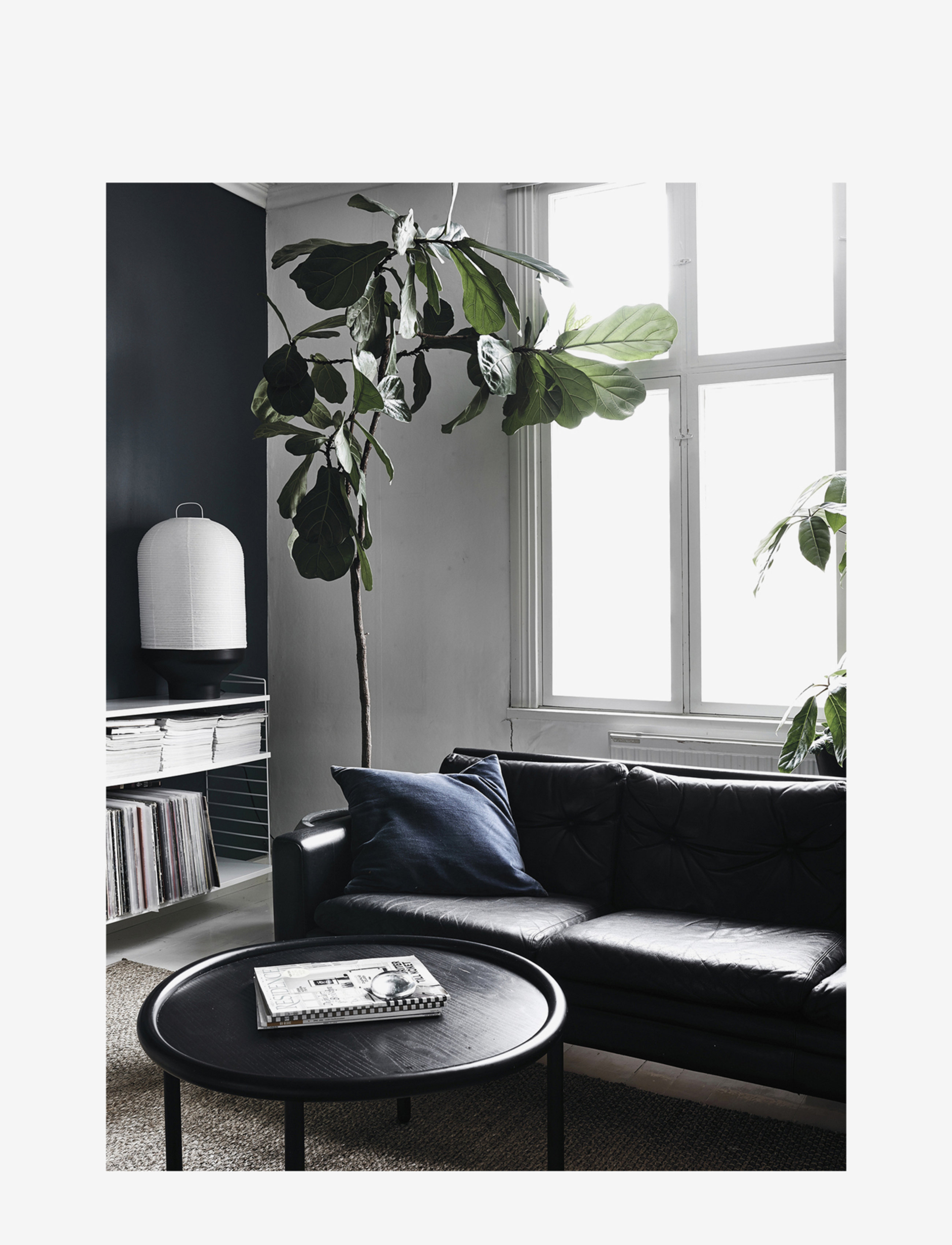 New Mags - Green Home Book - książki - white/green - 2