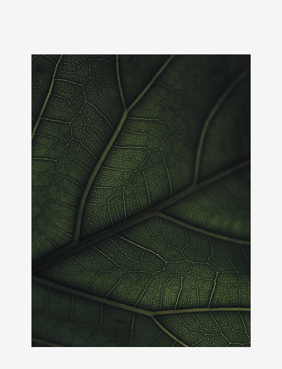 New Mags - Green Home Book - raamatud - white/green - 5