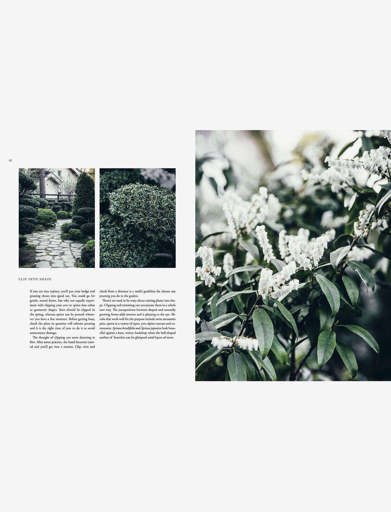 New Mags - Nordic Garden Design - køb efter pris - green - 2