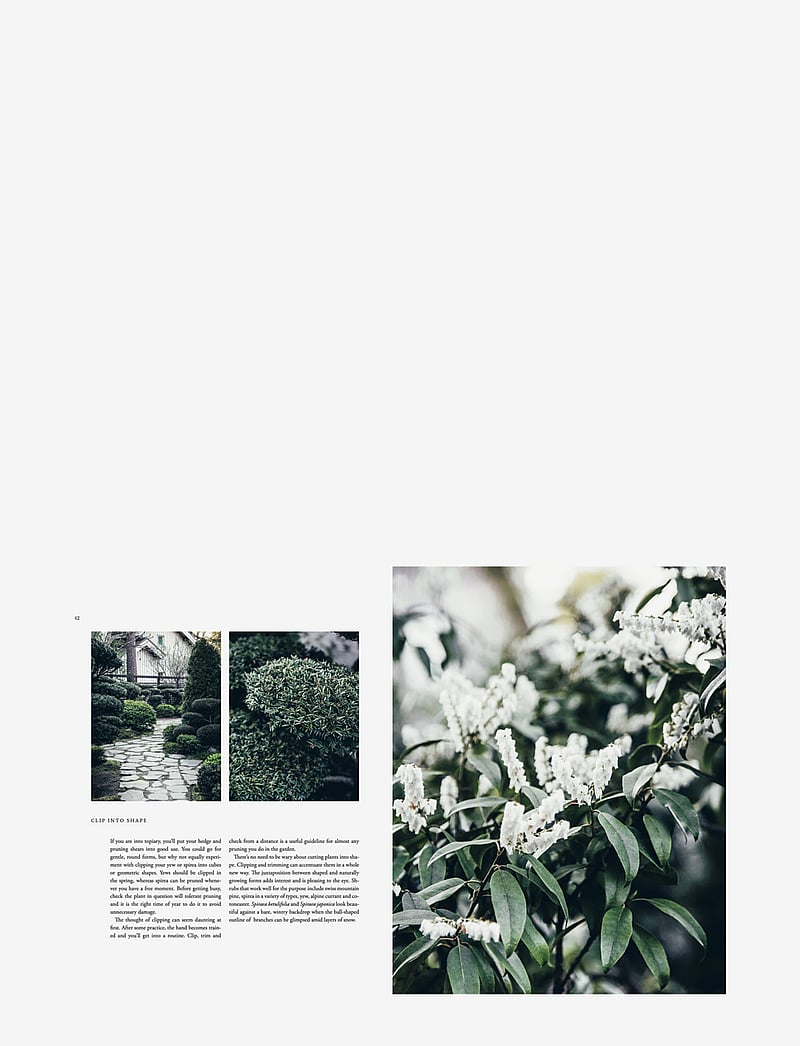 New Mags - Nordic Garden Design - nach preis einkaufen - green - 2