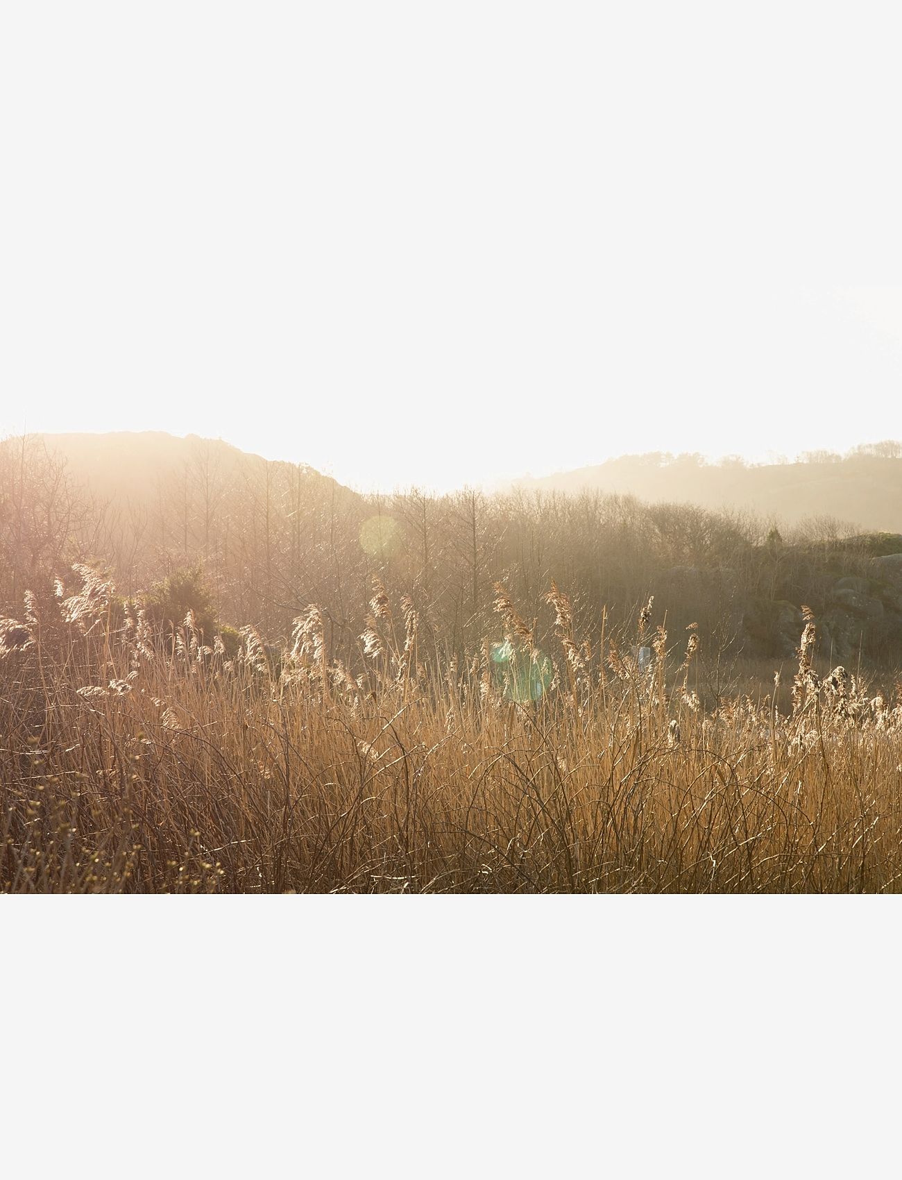 New Mags - Stillness - osta hinna alusel - brown - 3