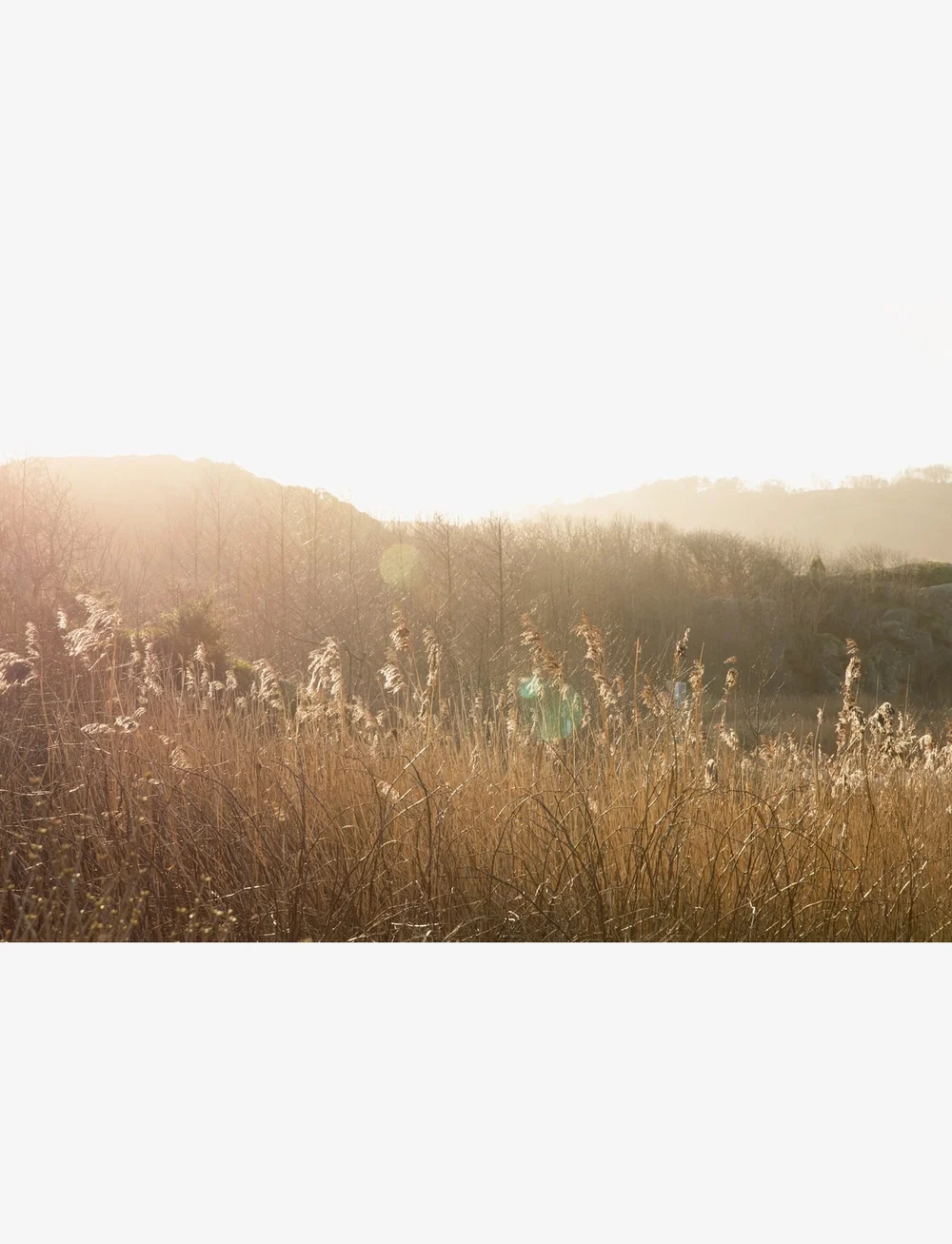 New Mags - Stillness - osta hinna alusel - brown - 3