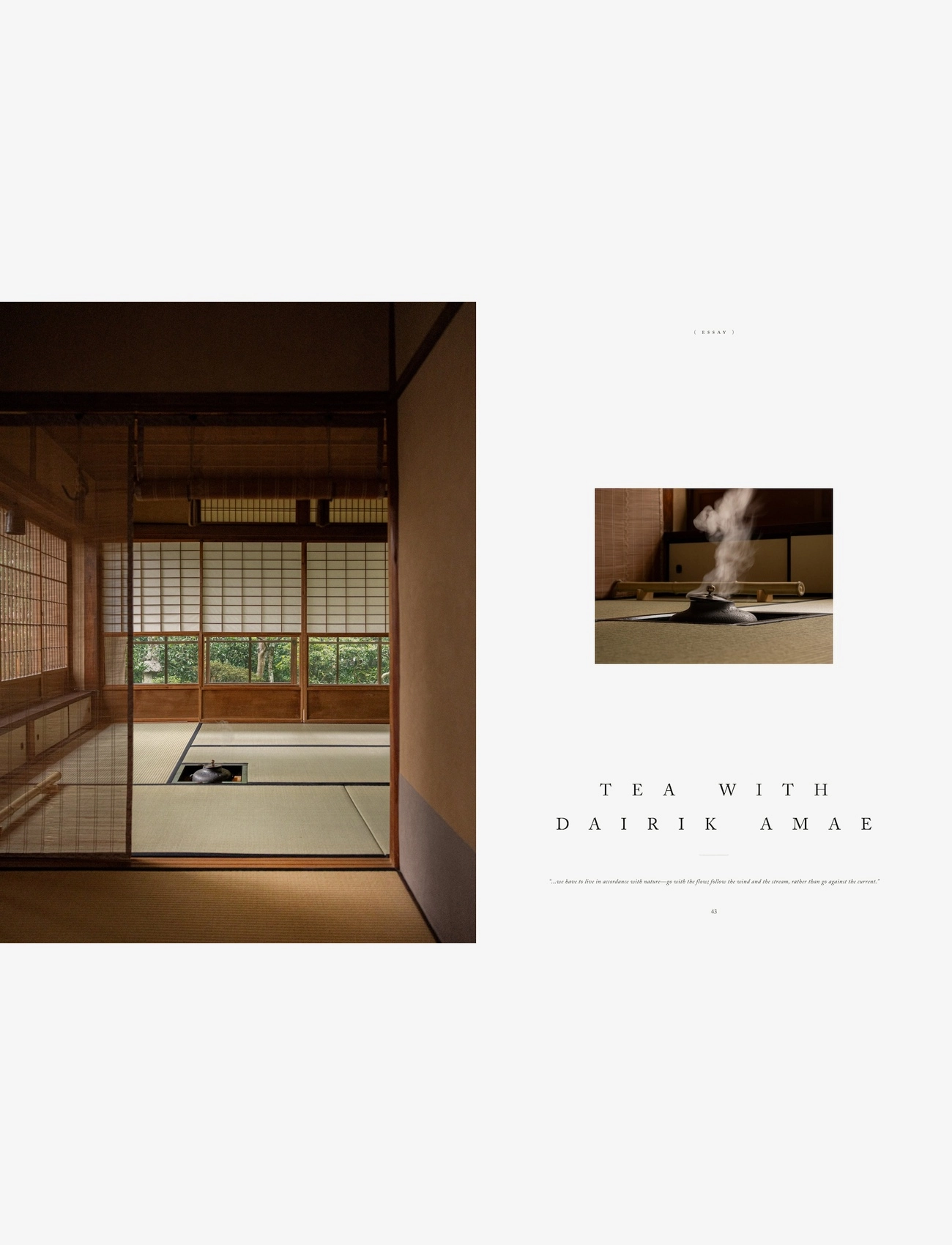 New Mags - Stillness - shop by price - brown - 4