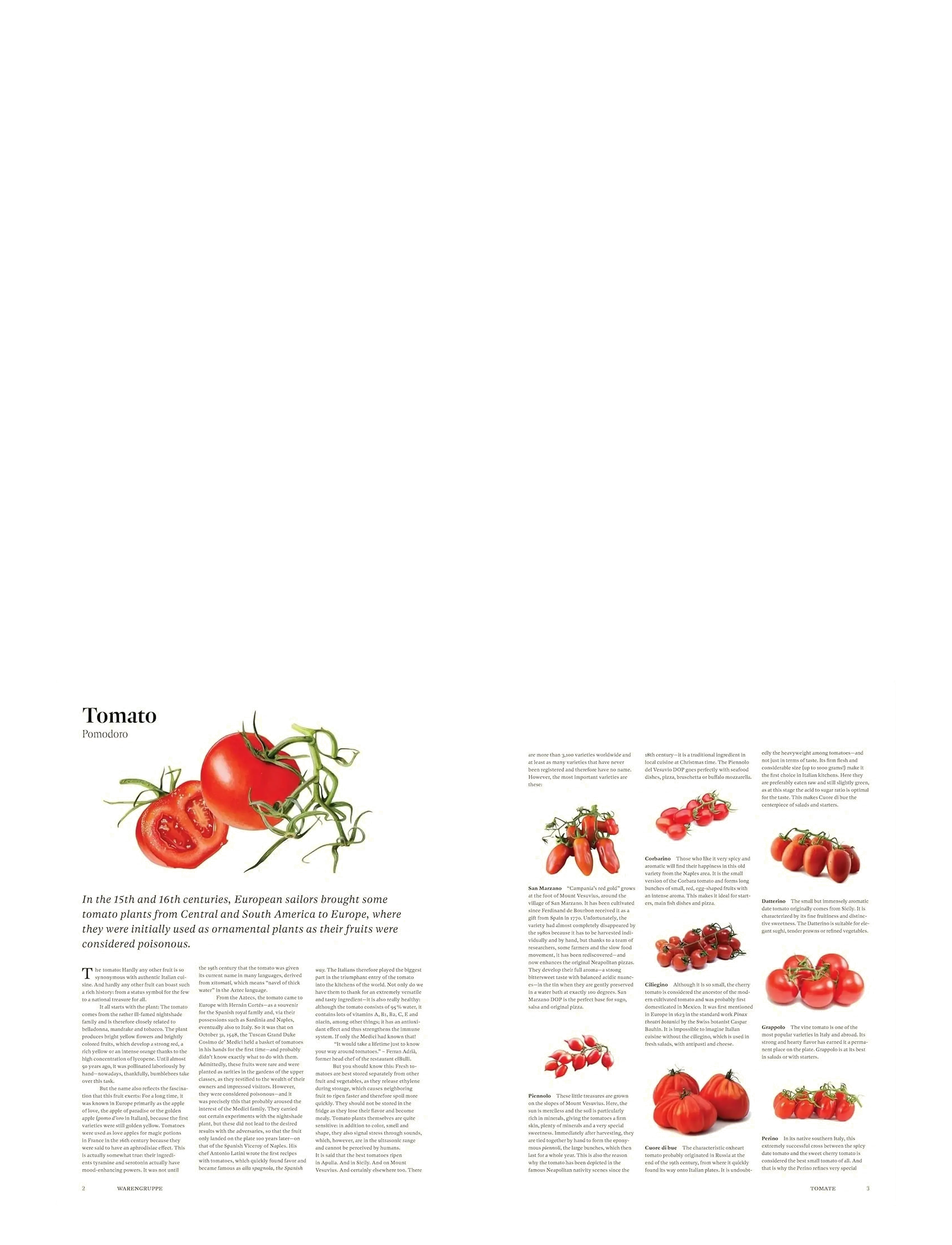 New Mags - Originale - Recipes and Essentials of Italian Cooking - autres ustensiles de cuisine - beige - 1