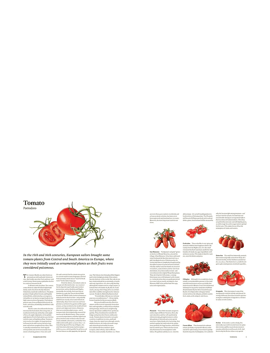 New Mags - Originale - Recipes and Essentials of Italian Cooking - muud köögiriistad - beige - 1
