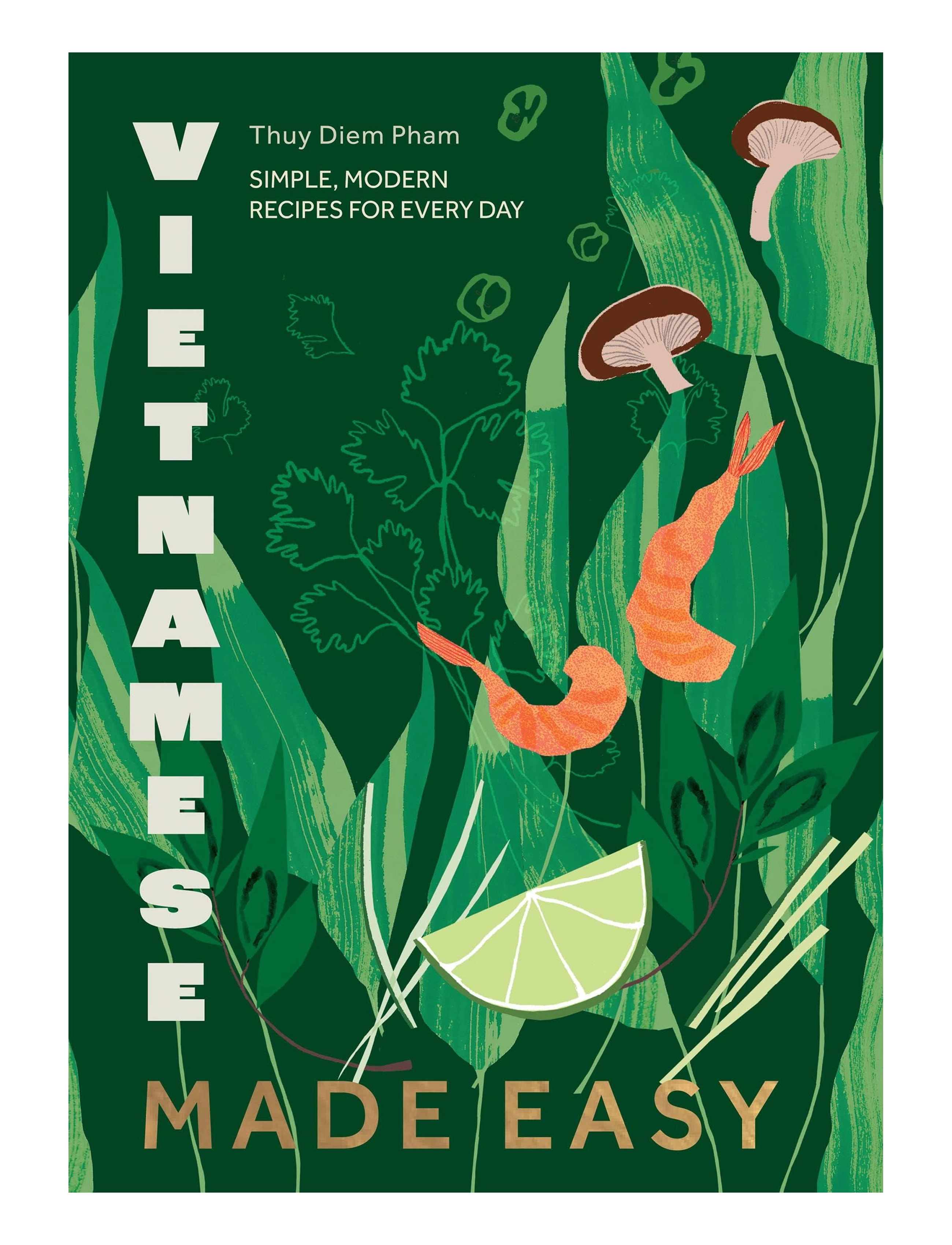 New Mags Vietnamese Made Easy - Livres - GREEN / multi