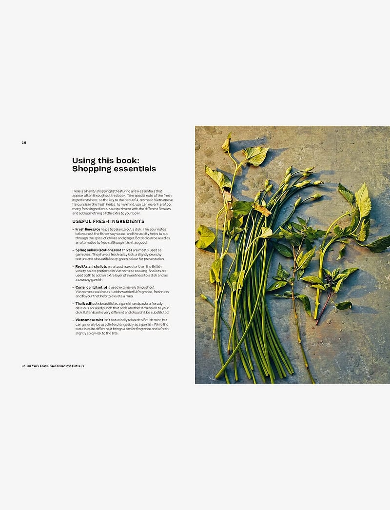 New Mags - Vietnamese Made Easy - nach preis einkaufen - green - 5