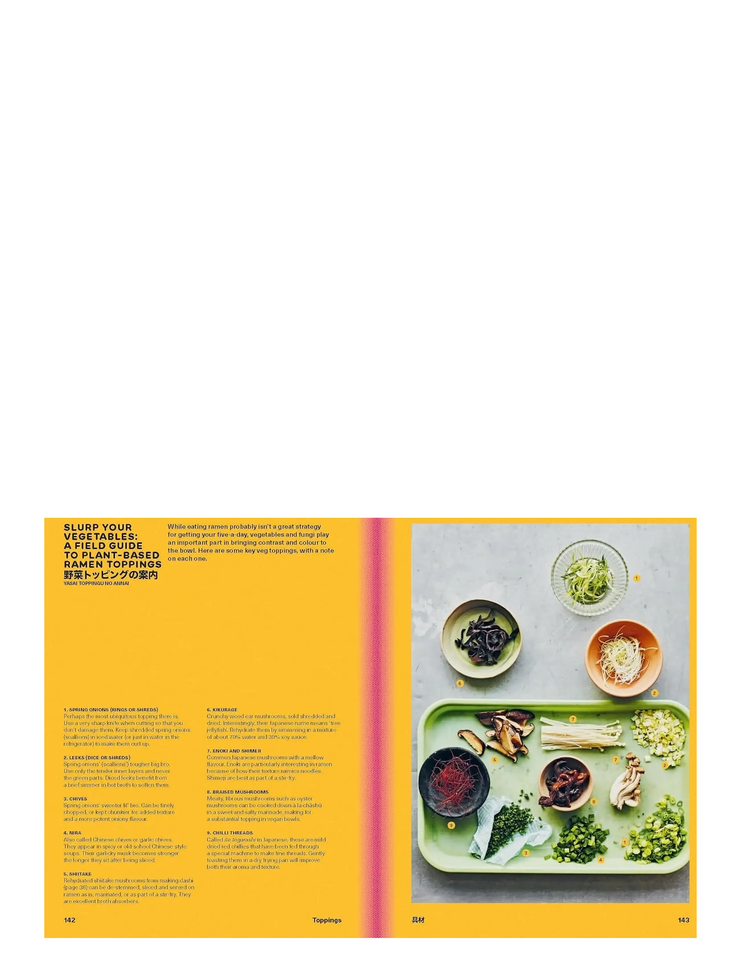 New Mags - Ramen Forever - książki - orange - 3