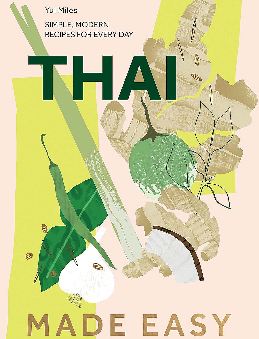 New Mags - Thai Made Easy - nach preis einkaufen - multi-colored - 0