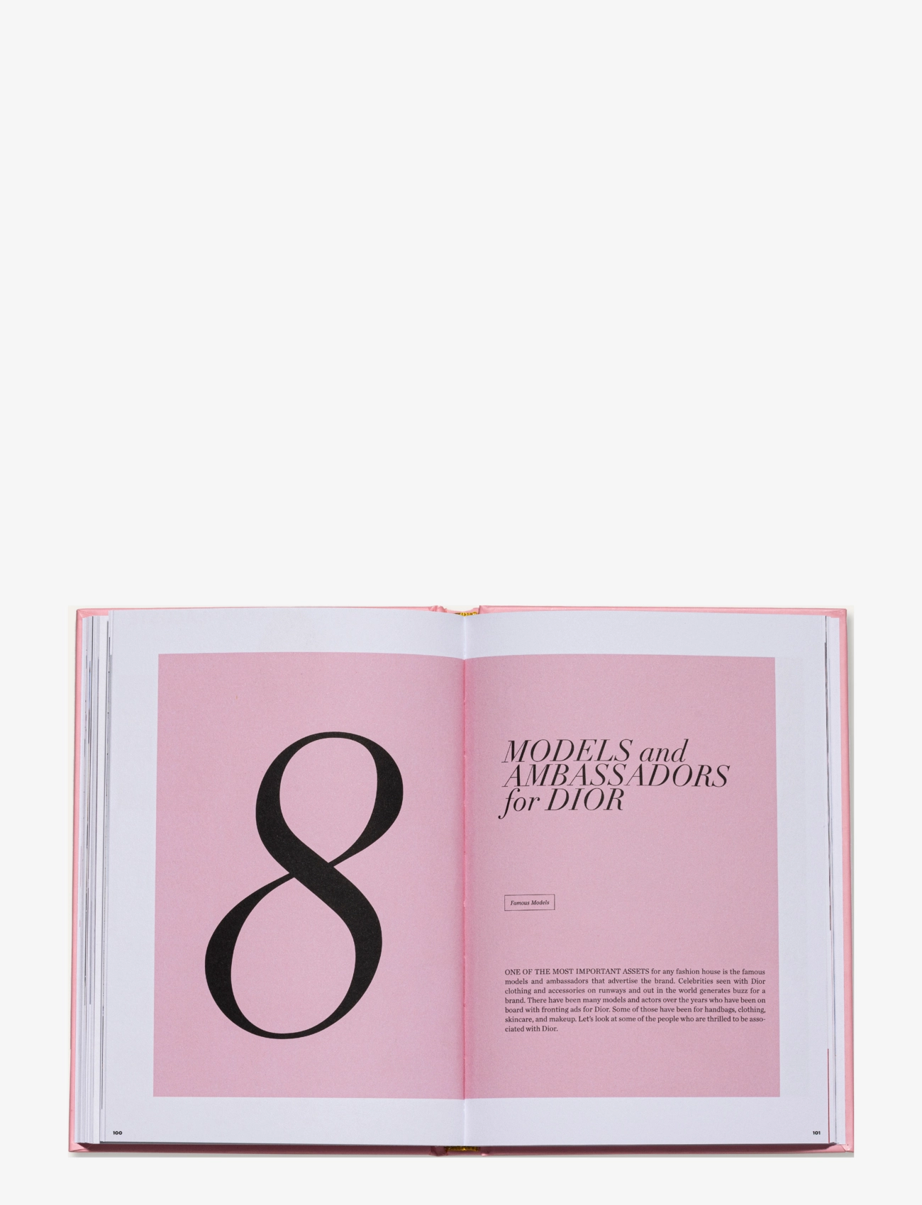 New Mags - The Essence of Dior - osta hinna alusel - pink - 3