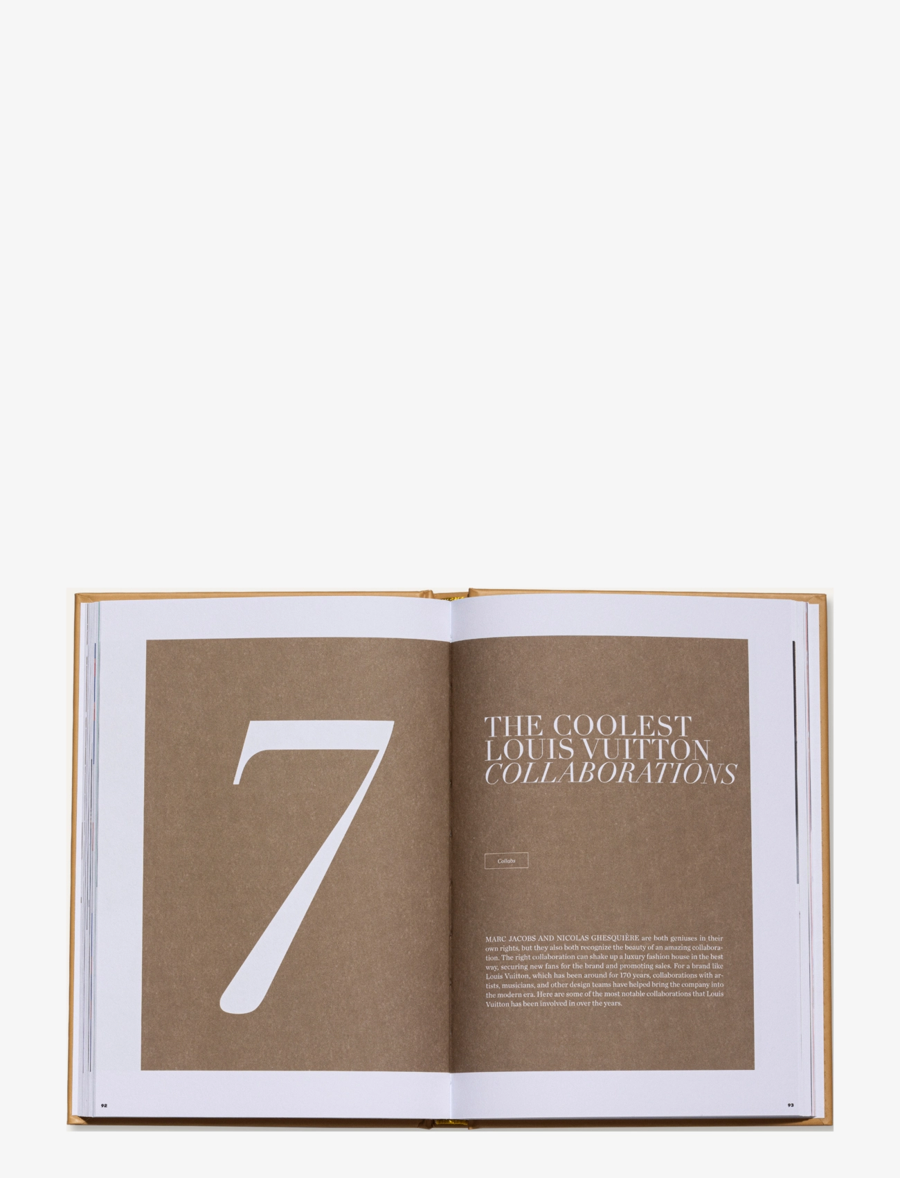 New Mags - The Essence of Louis Vuitton - köp efter pris - brown - 4