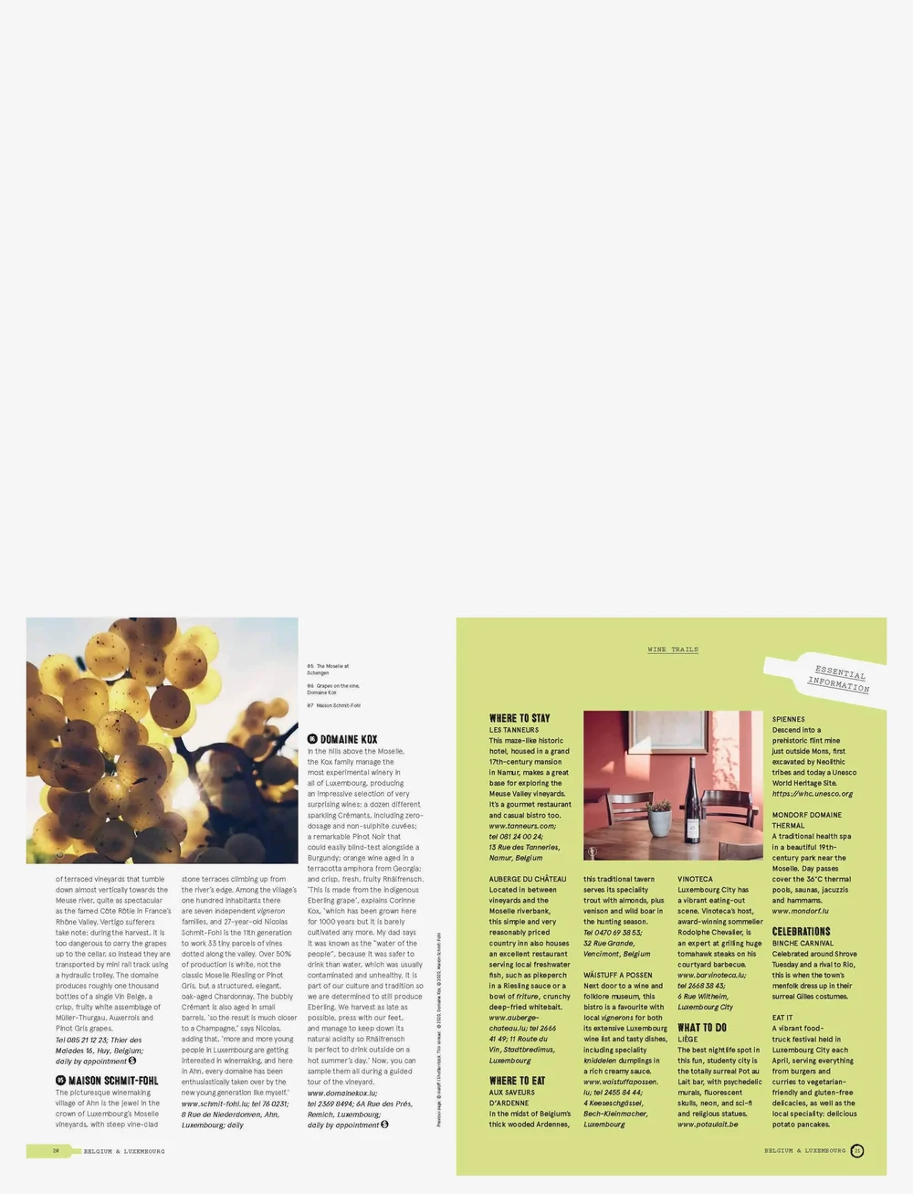 New Mags - Wine Trails - Europe - coffee table bücher - multi coloured - 1