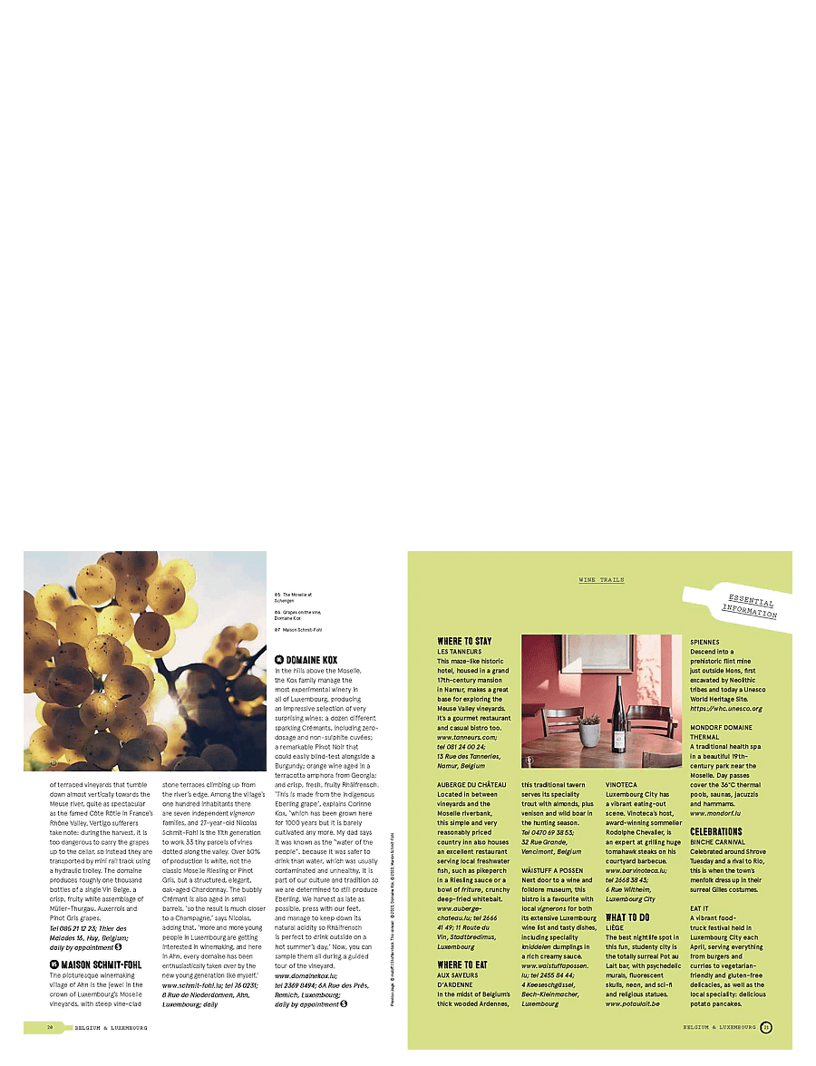 New Mags - Wine Trails - Europe - raamatud - multi coloured - 1
