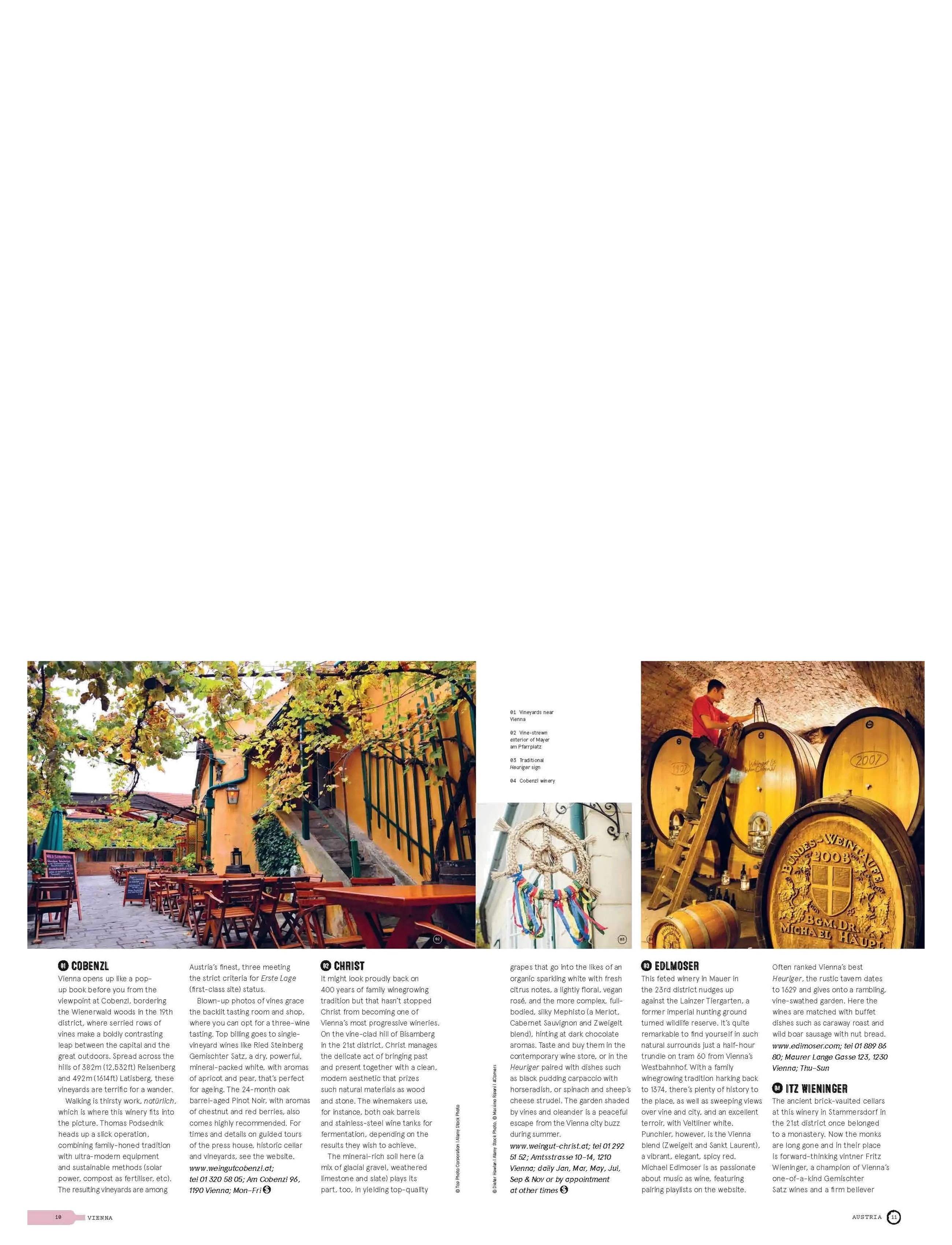 New Mags - Wine Trails - Europe - coffee table bücher - multi coloured - 2