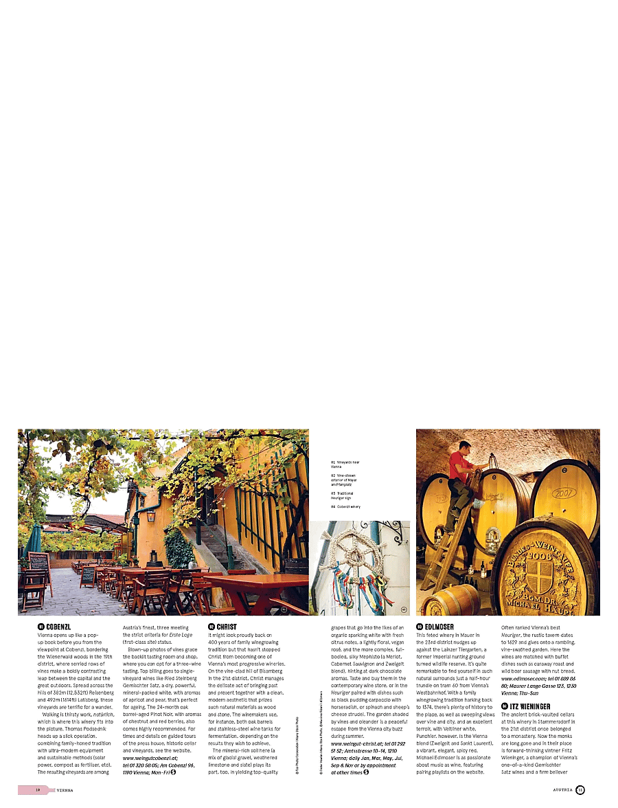 New Mags - Wine Trails - Europe - raamatud - multi coloured - 2